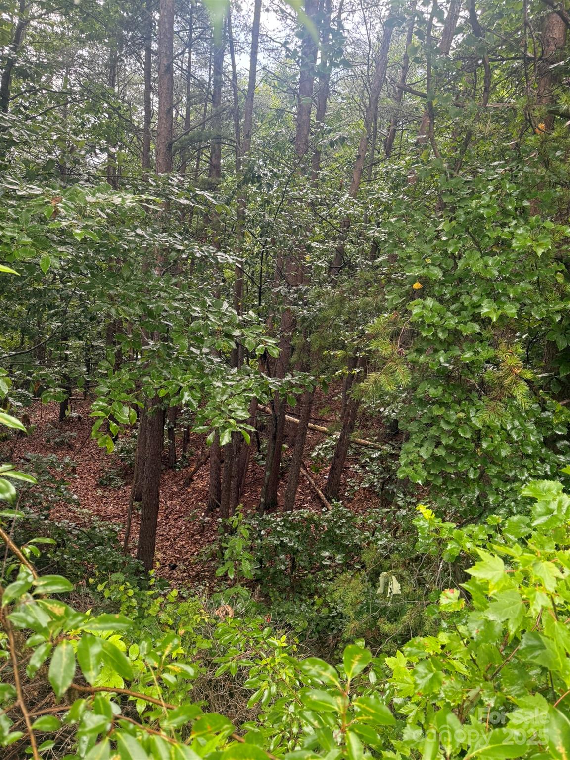 0 Pineknoll Drive Property Photo 20