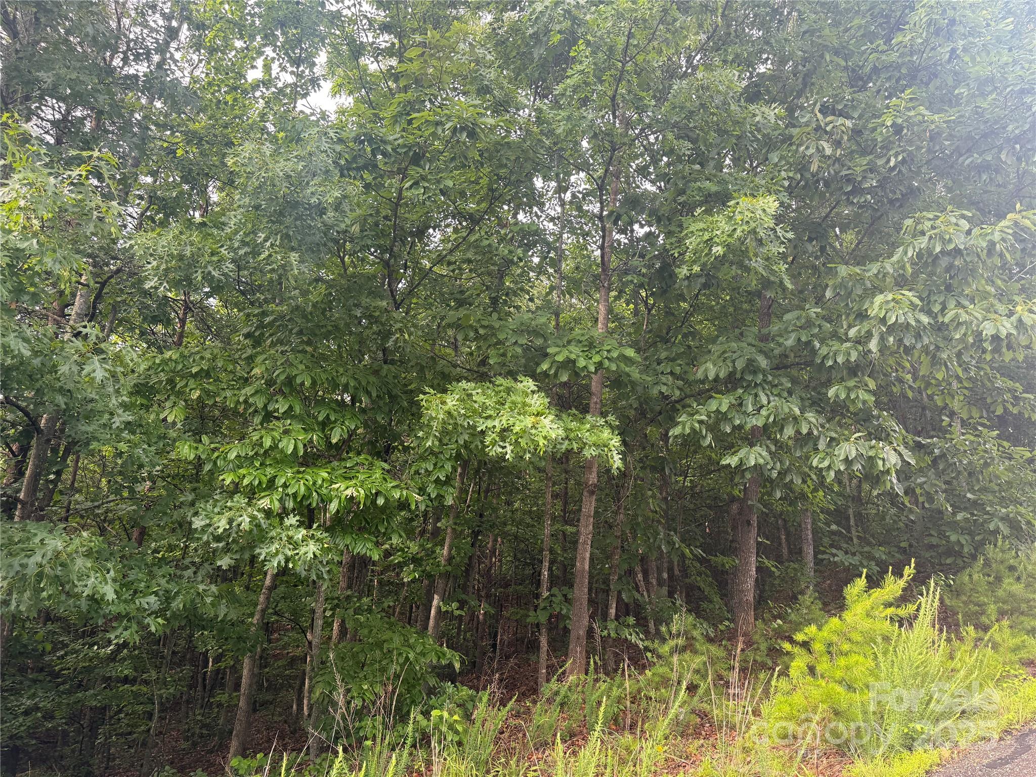 0 Pineknoll Drive Property Photo 22