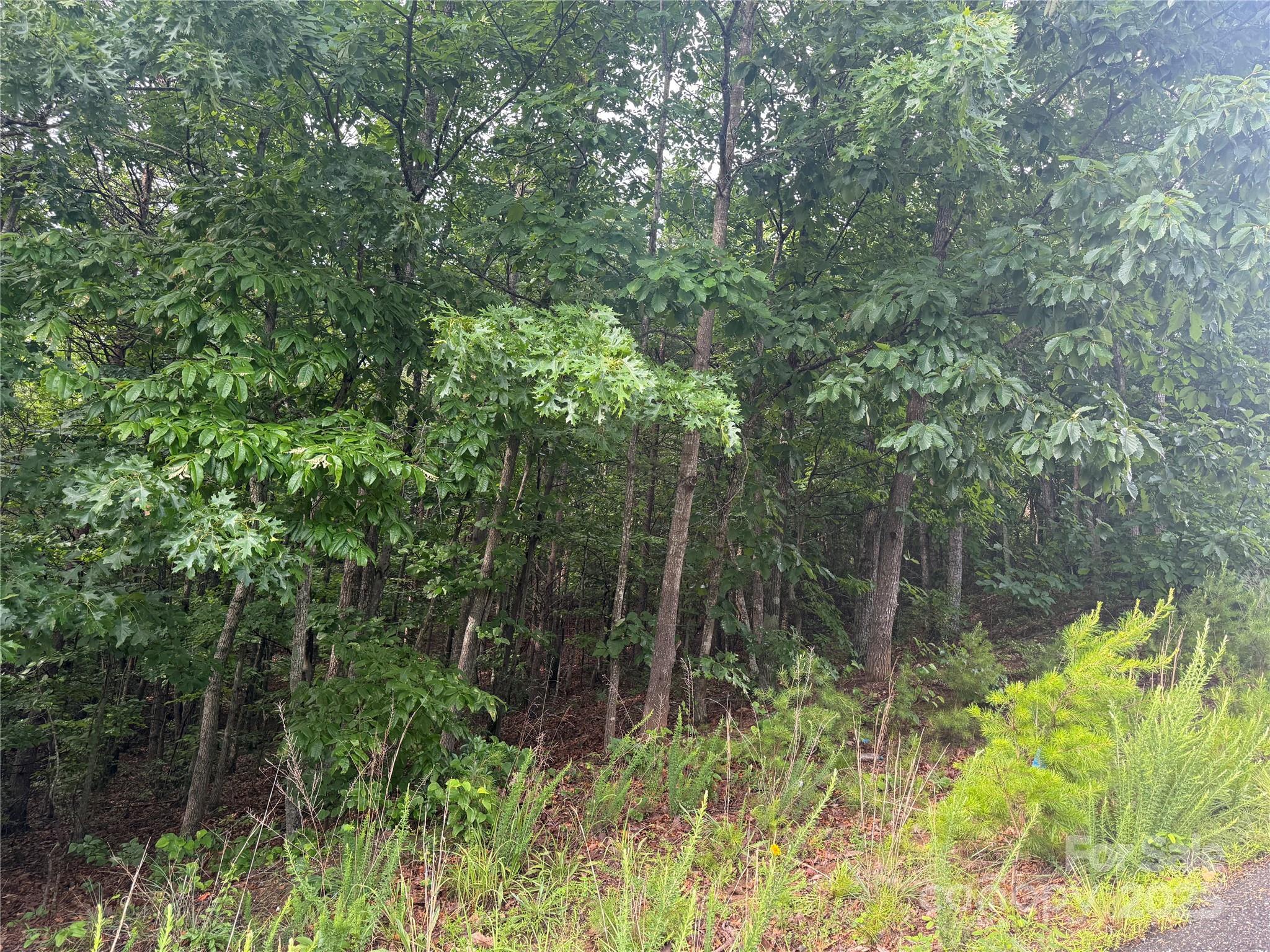 0 Pineknoll Drive Property Photo 23