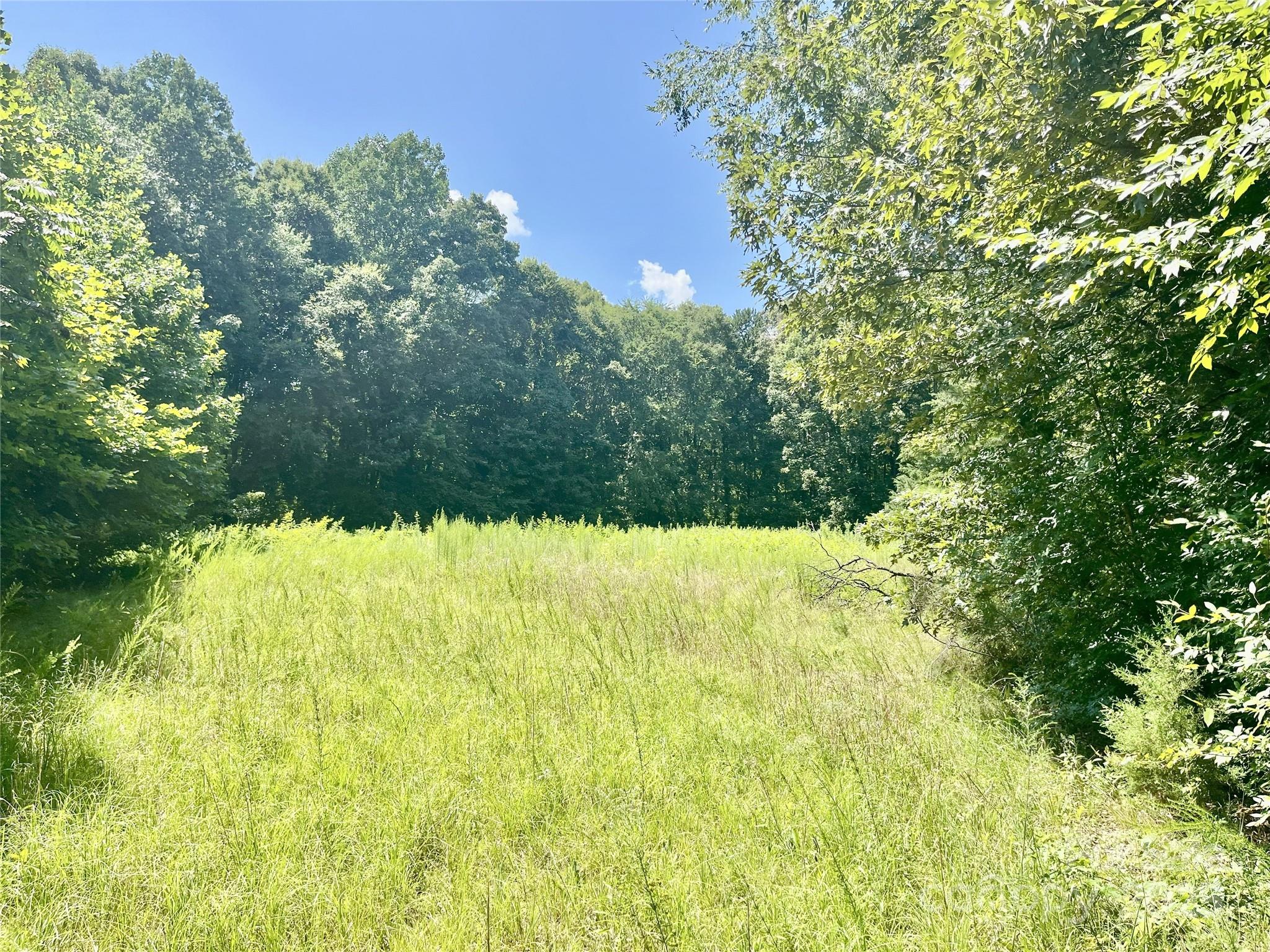 0 Chinquapin Lane Property Photo 2