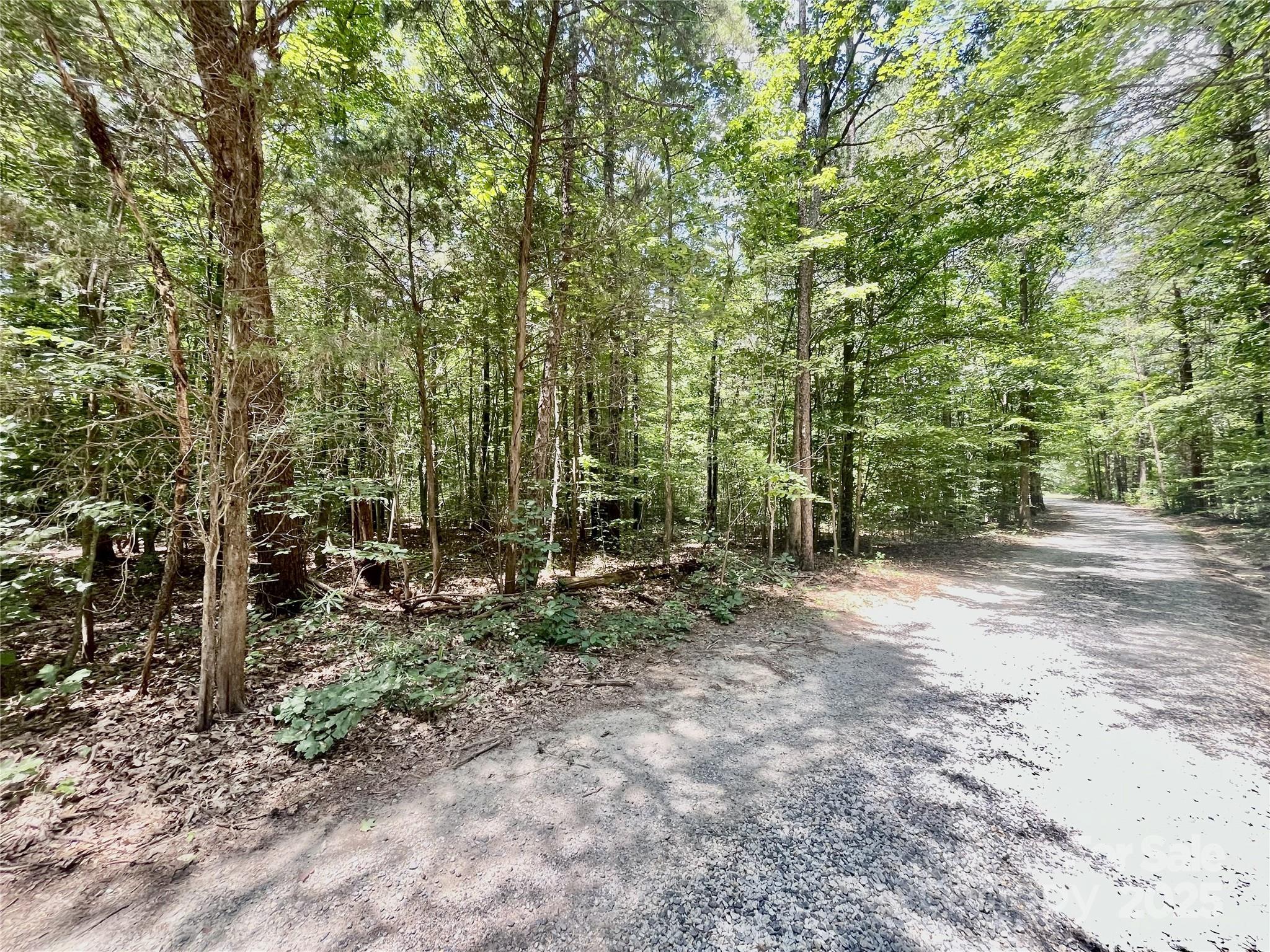 0 Chinquapin Lane Property Photo 3