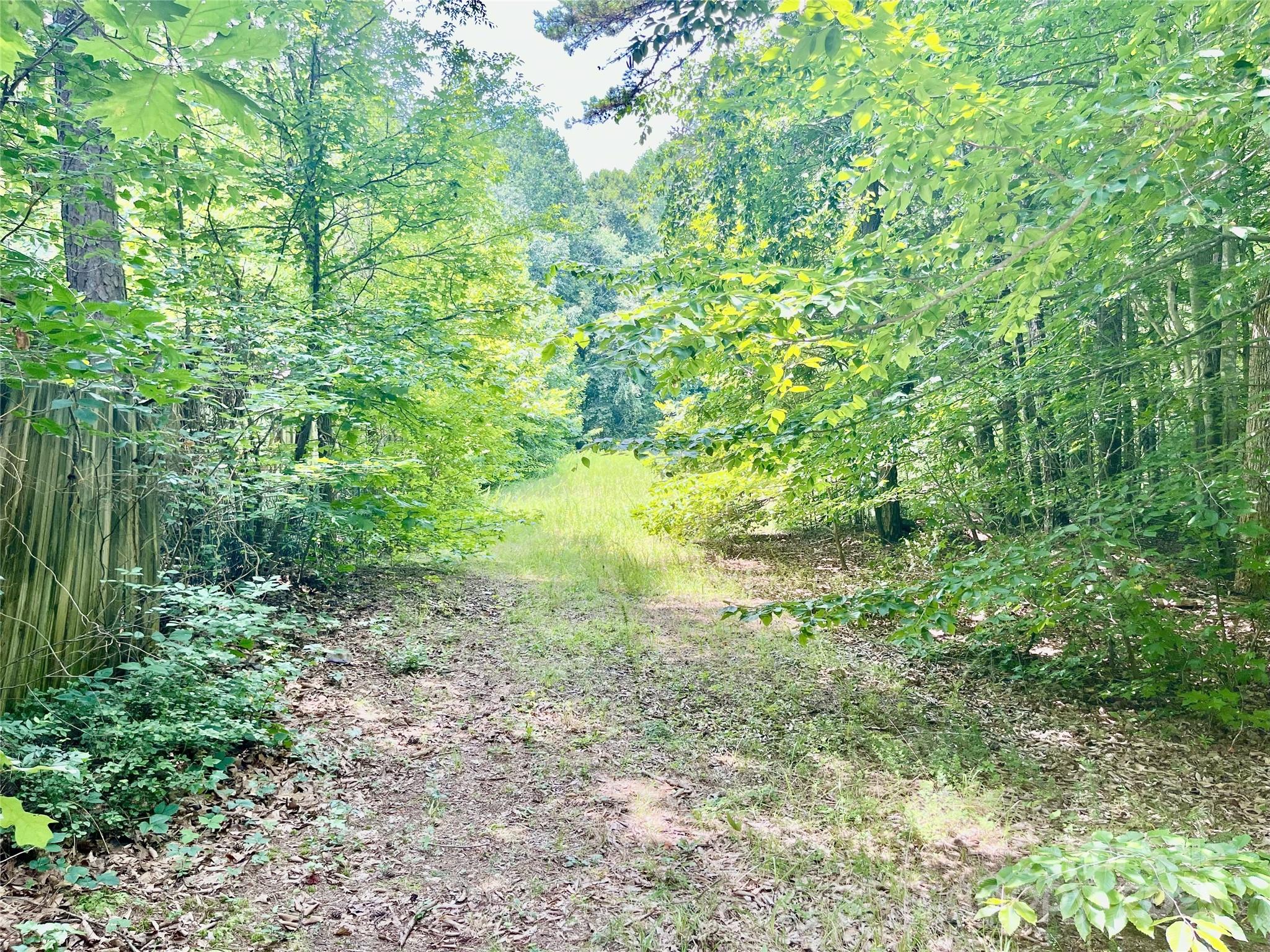 0 Chinquapin Lane Property Photo 4