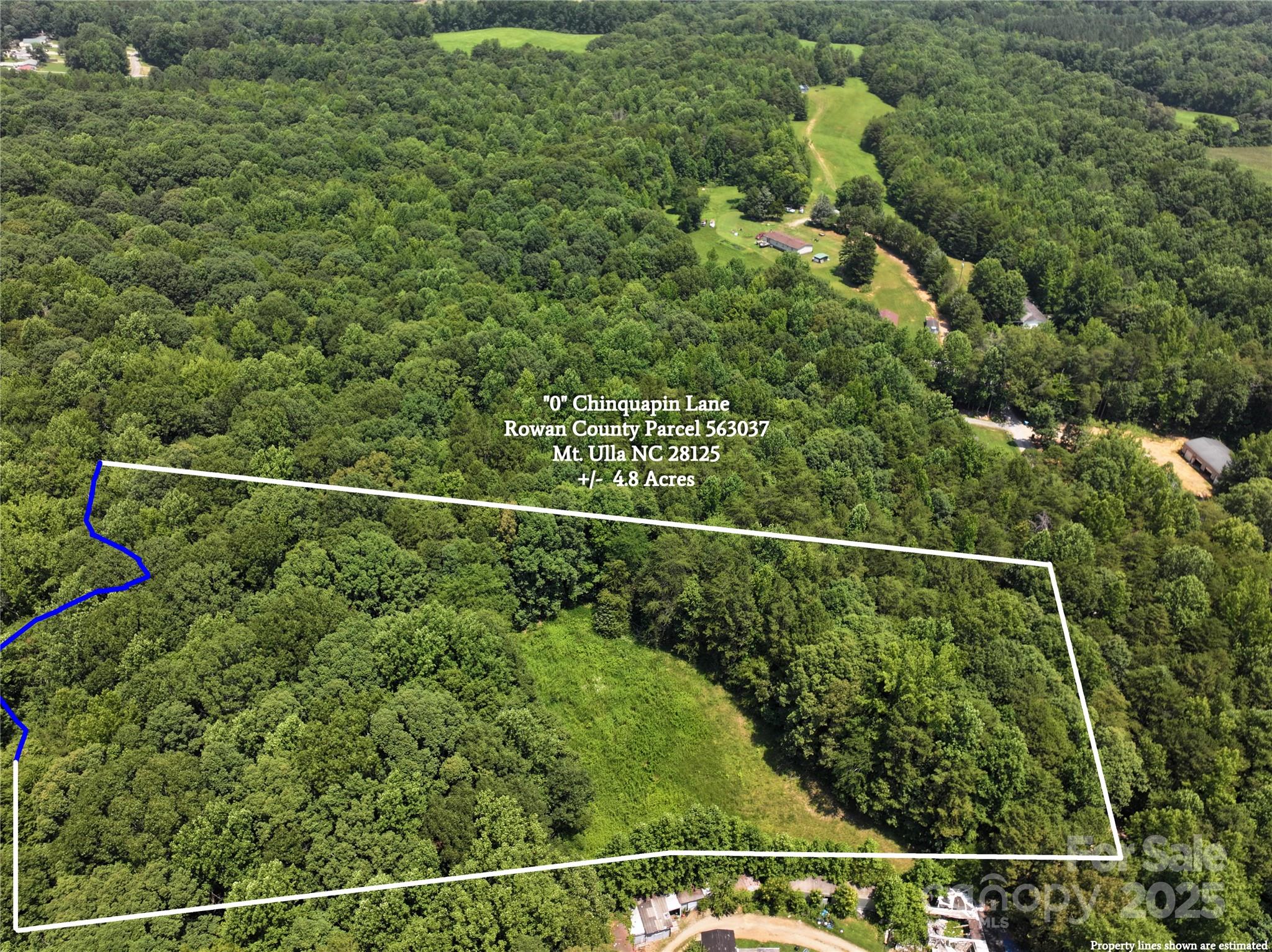 0 Chinquapin Lane Property Photo 7
