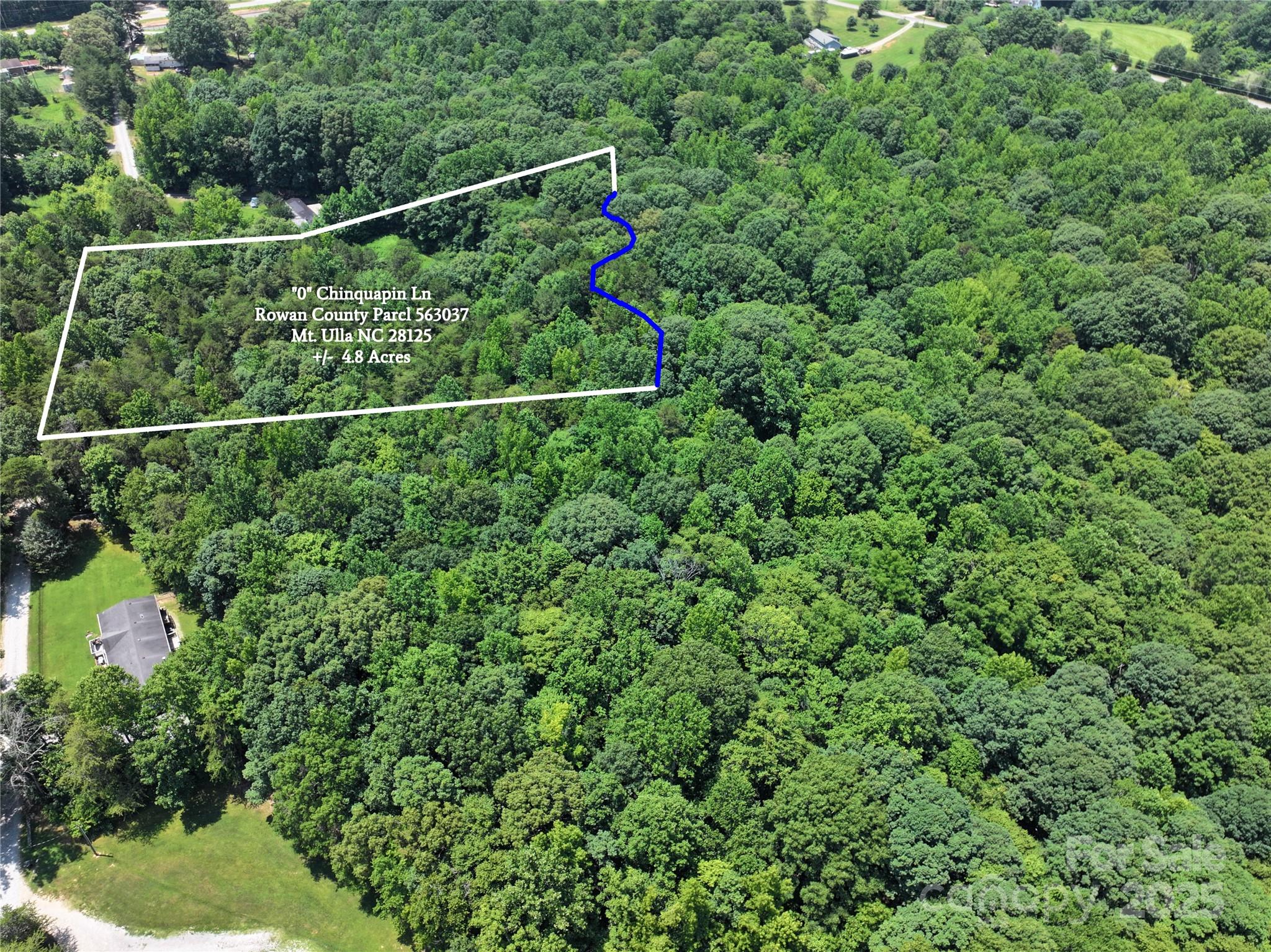 0 Chinquapin Lane Property Photo 8