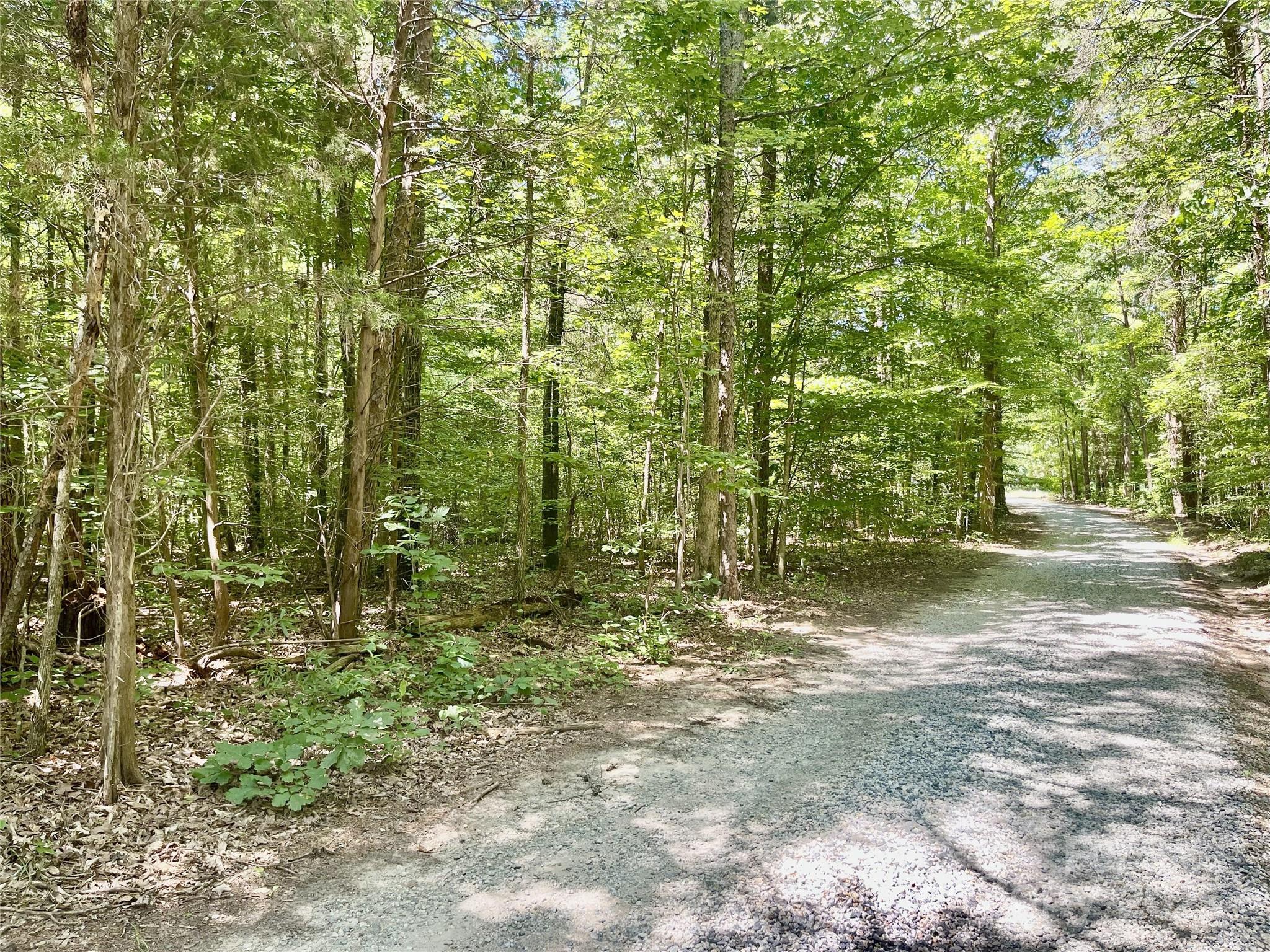 0 Chinquapin Lane Property Photo 9