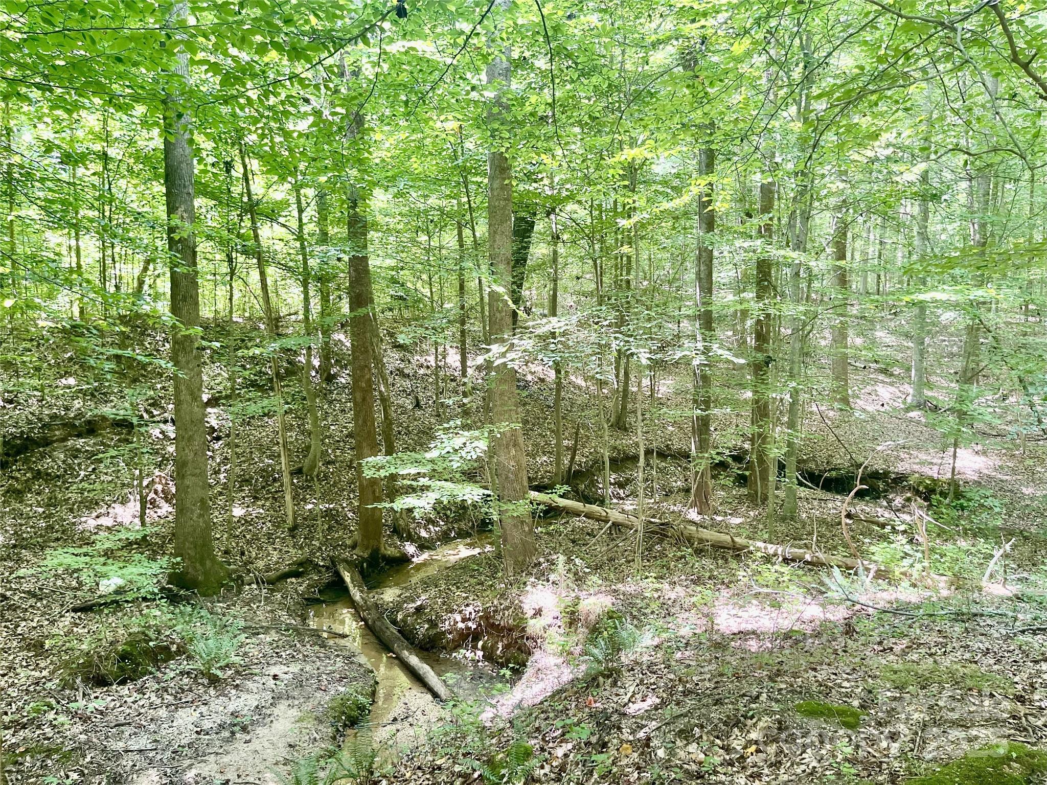 0 Chinquapin Lane Property Photo 10