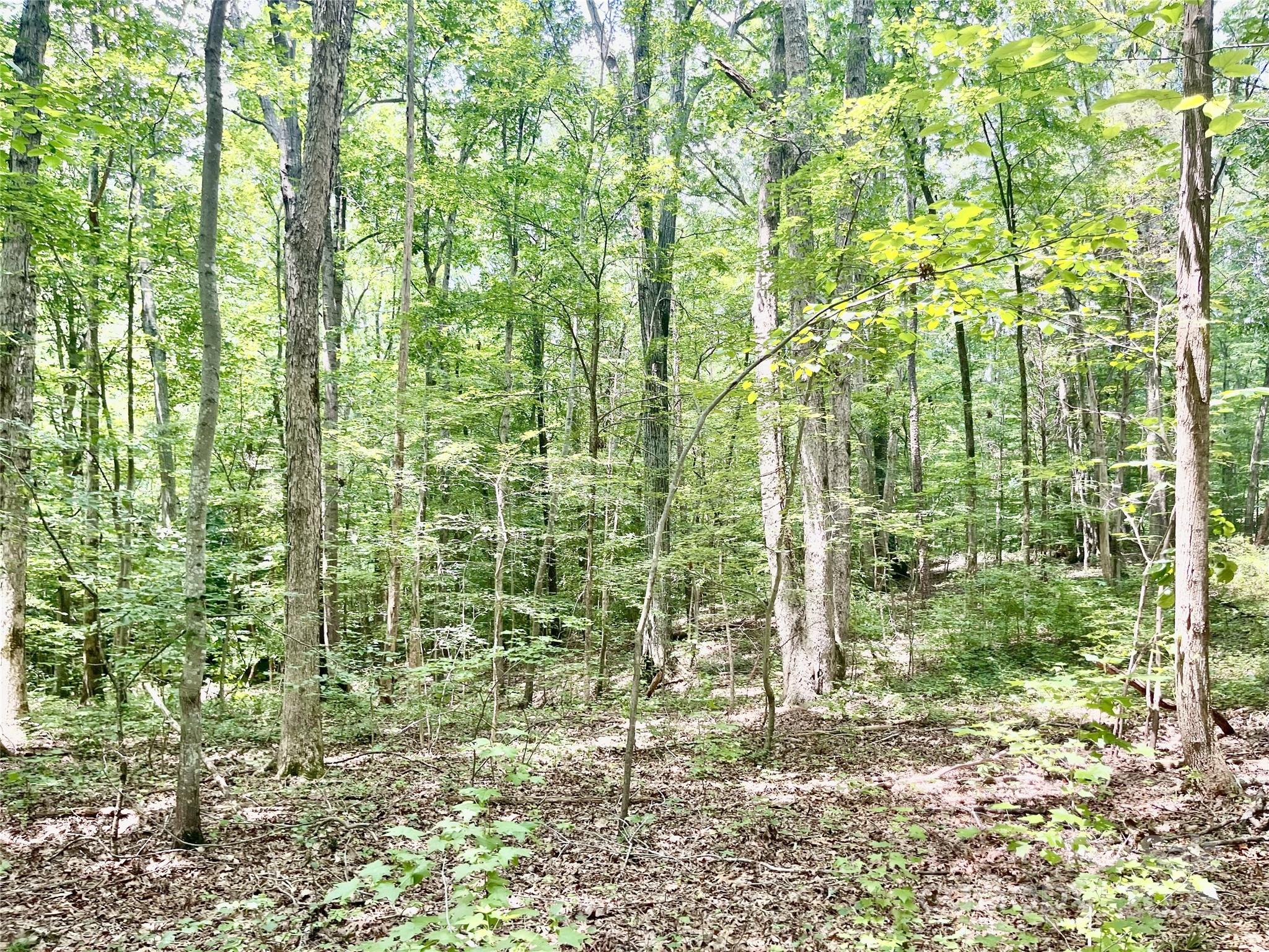 0 Chinquapin Lane Property Photo 16