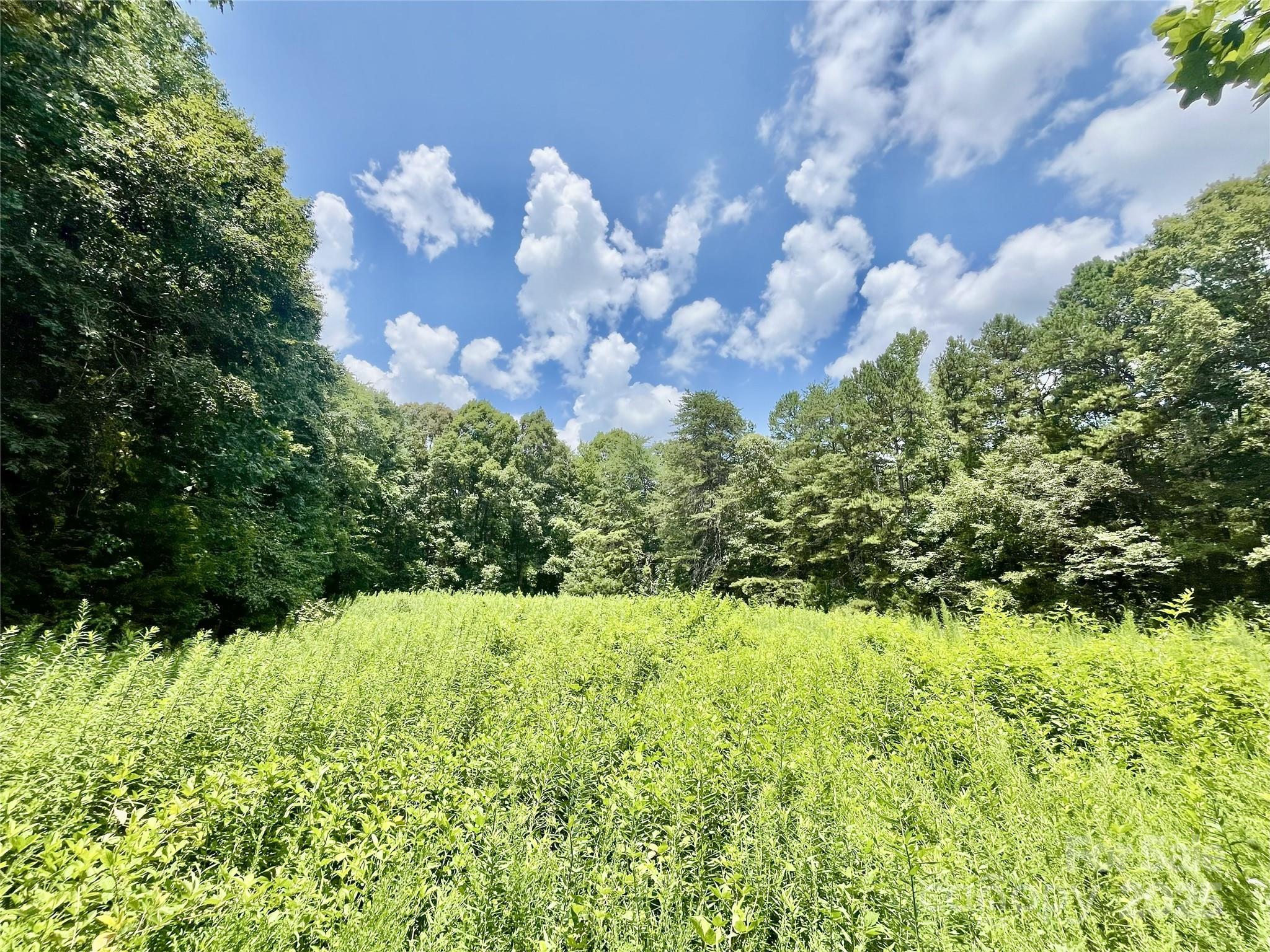 0 Chinquapin Lane Property Photo 17