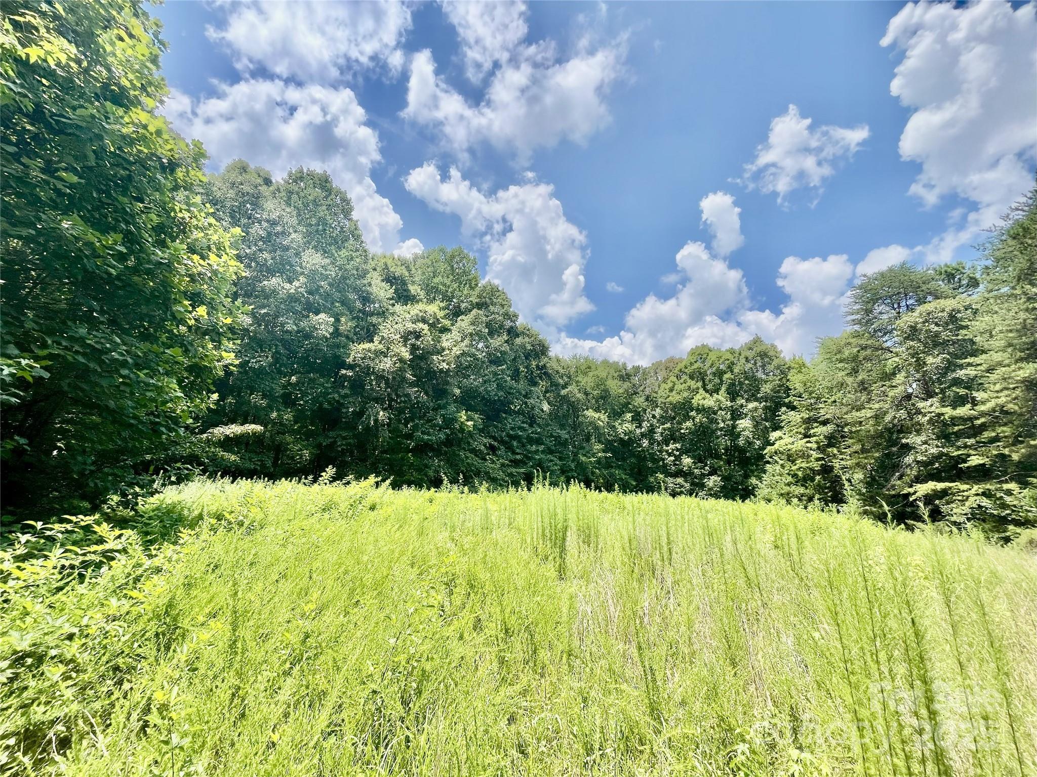0 Chinquapin Lane Property Photo 18