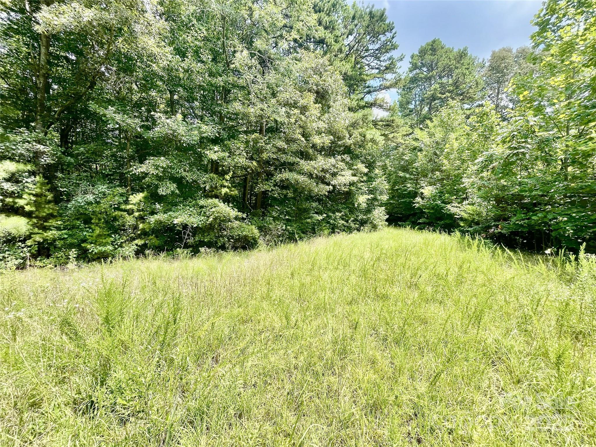 0 Chinquapin Lane Property Photo 19