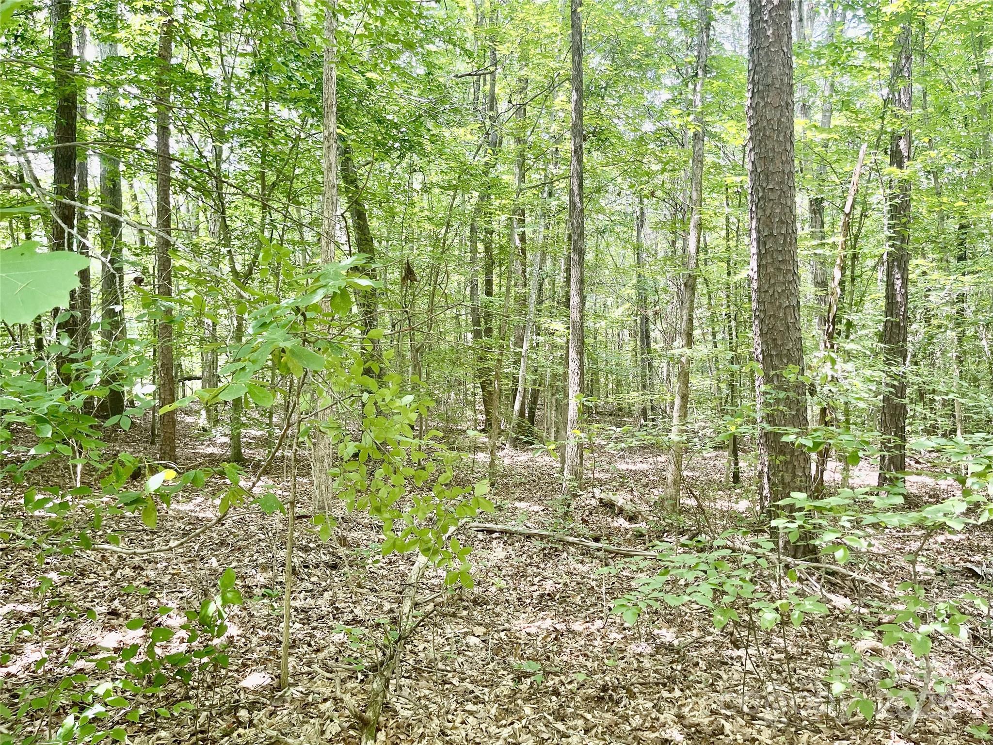 0 Chinquapin Lane Property Photo 20