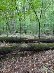 5901 Howard Street Property Photo 2