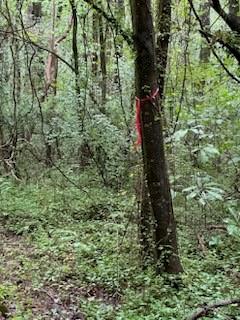 5901 Howard Street Property Photo 3