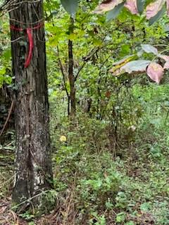 5901 Howard Street Property Photo 4