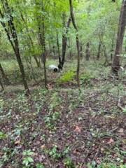 5901 Howard Street Property Photo 5