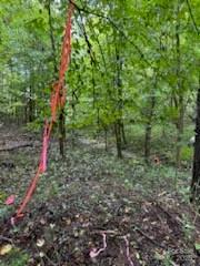 5901 Howard Street Property Photo 6