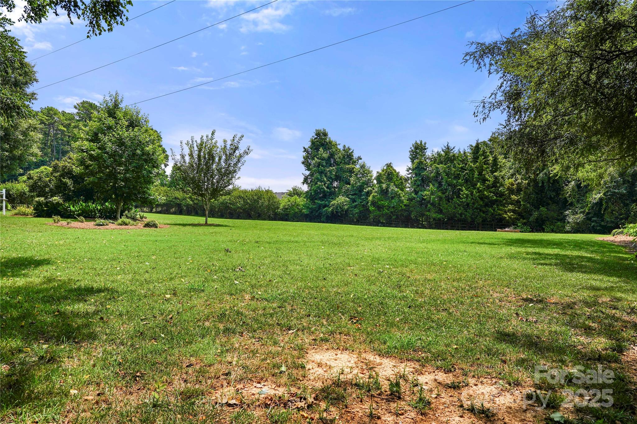 8173 Shannon Woods Lane Property Photo 37