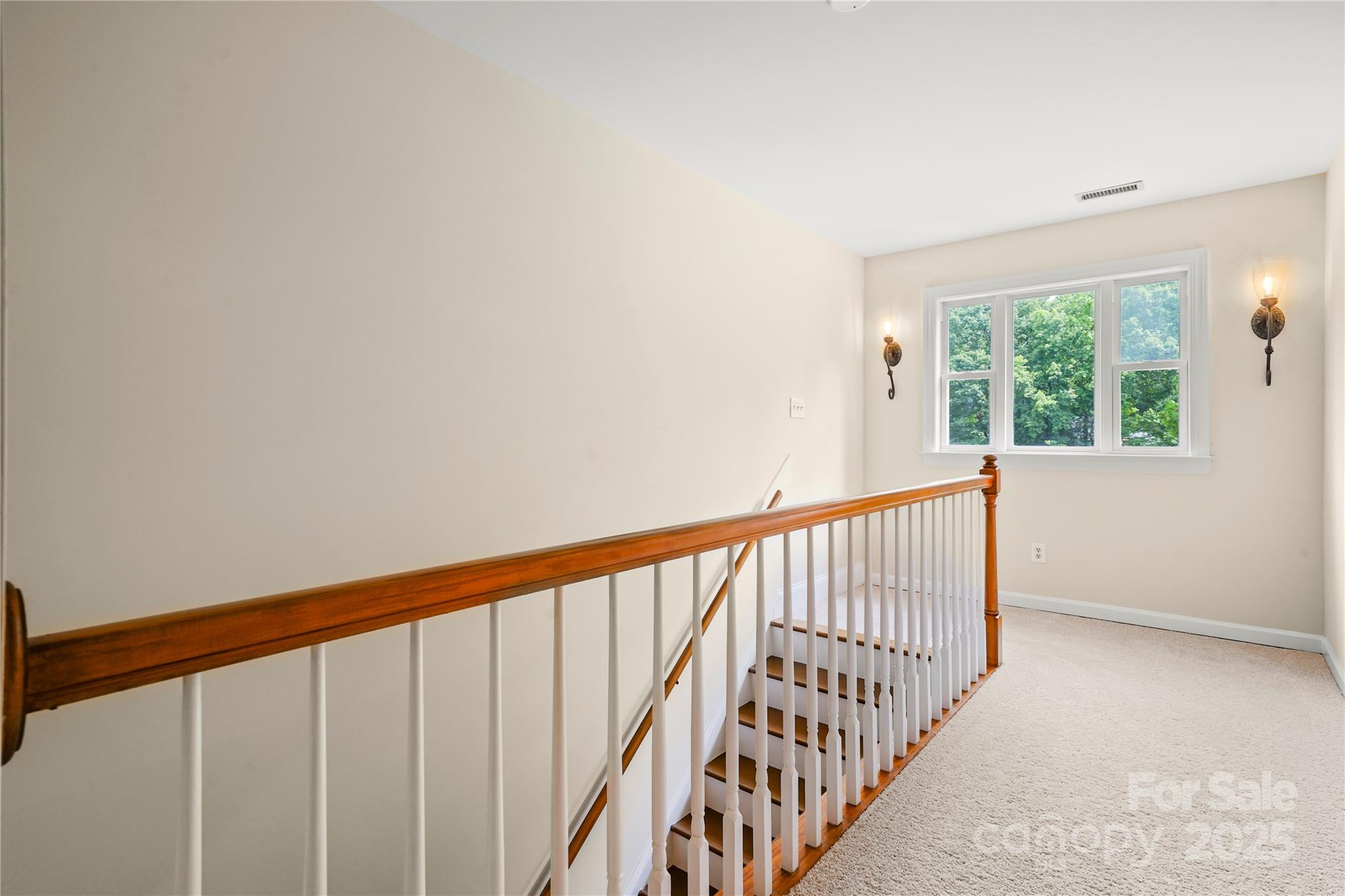 8173 Shannon Woods Lane Property Photo 48