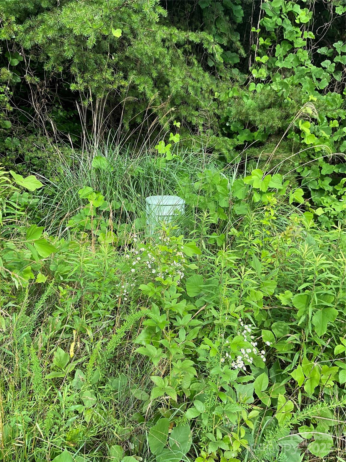 0 Valley View Court Property Photo 43