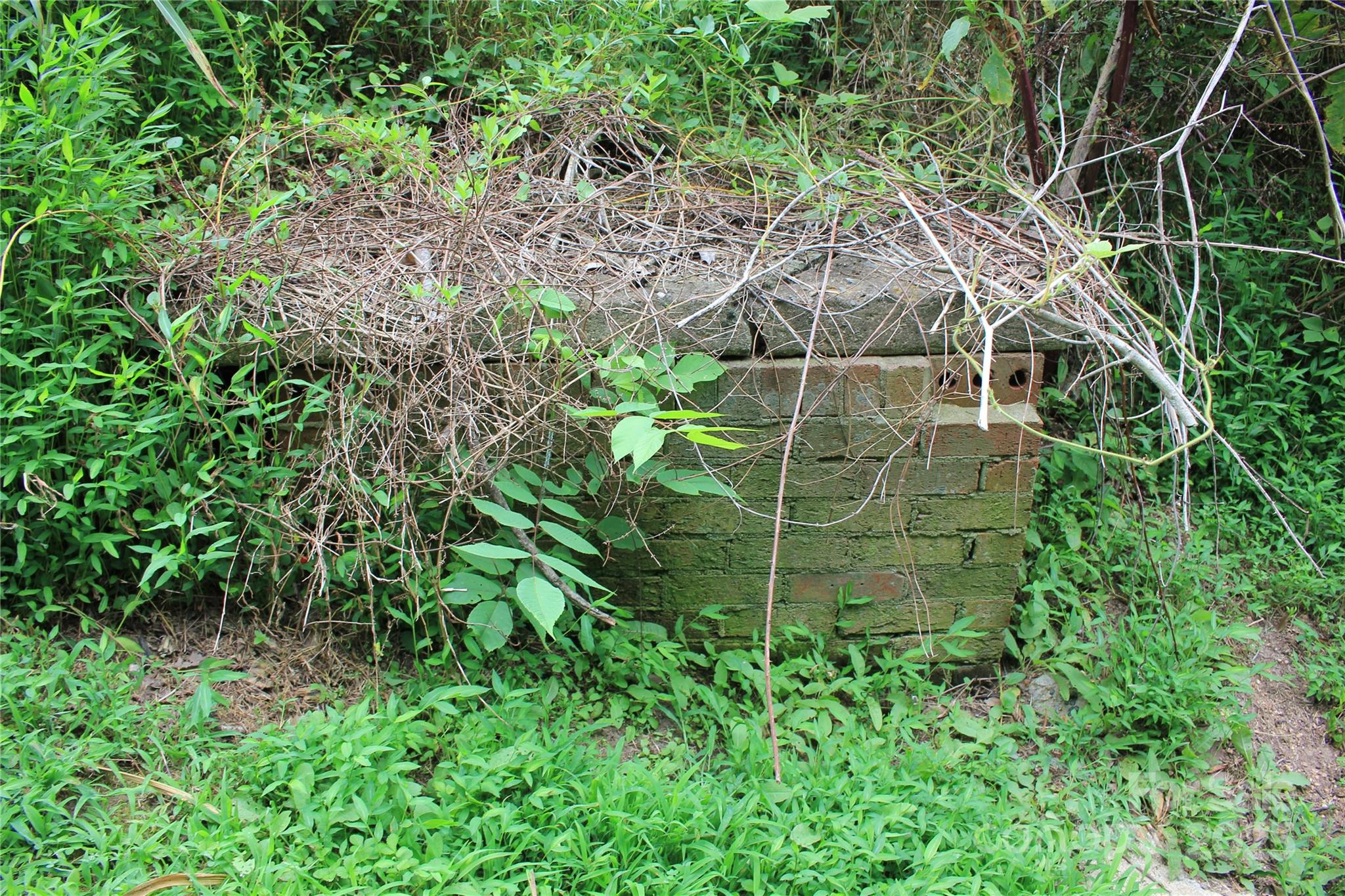 569 Union Street Property Photo 7