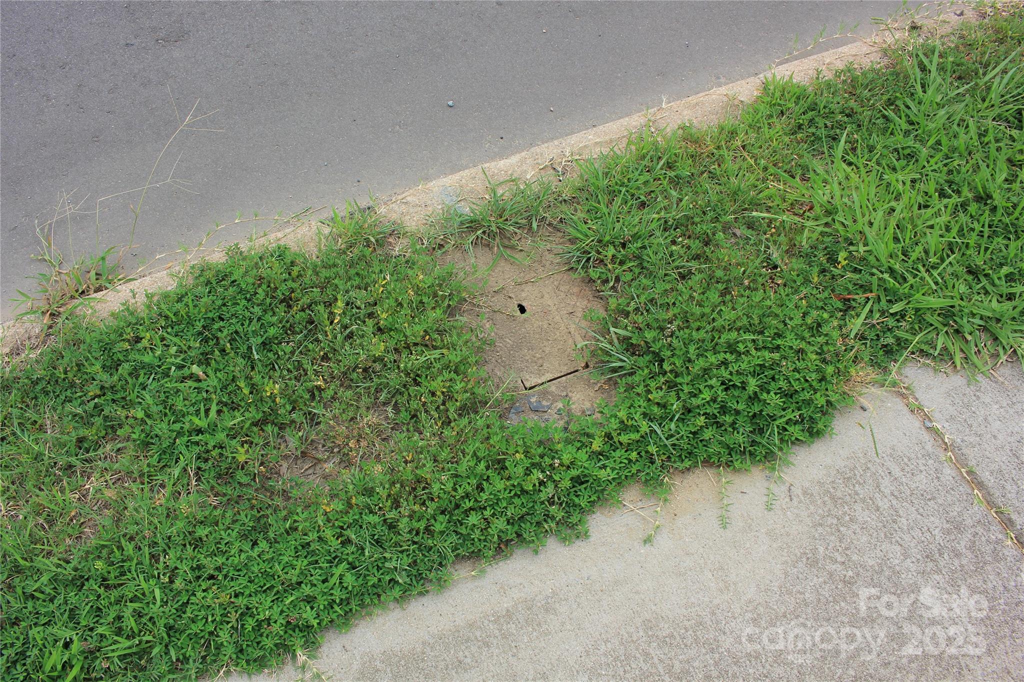 569 Union Street Property Photo 12