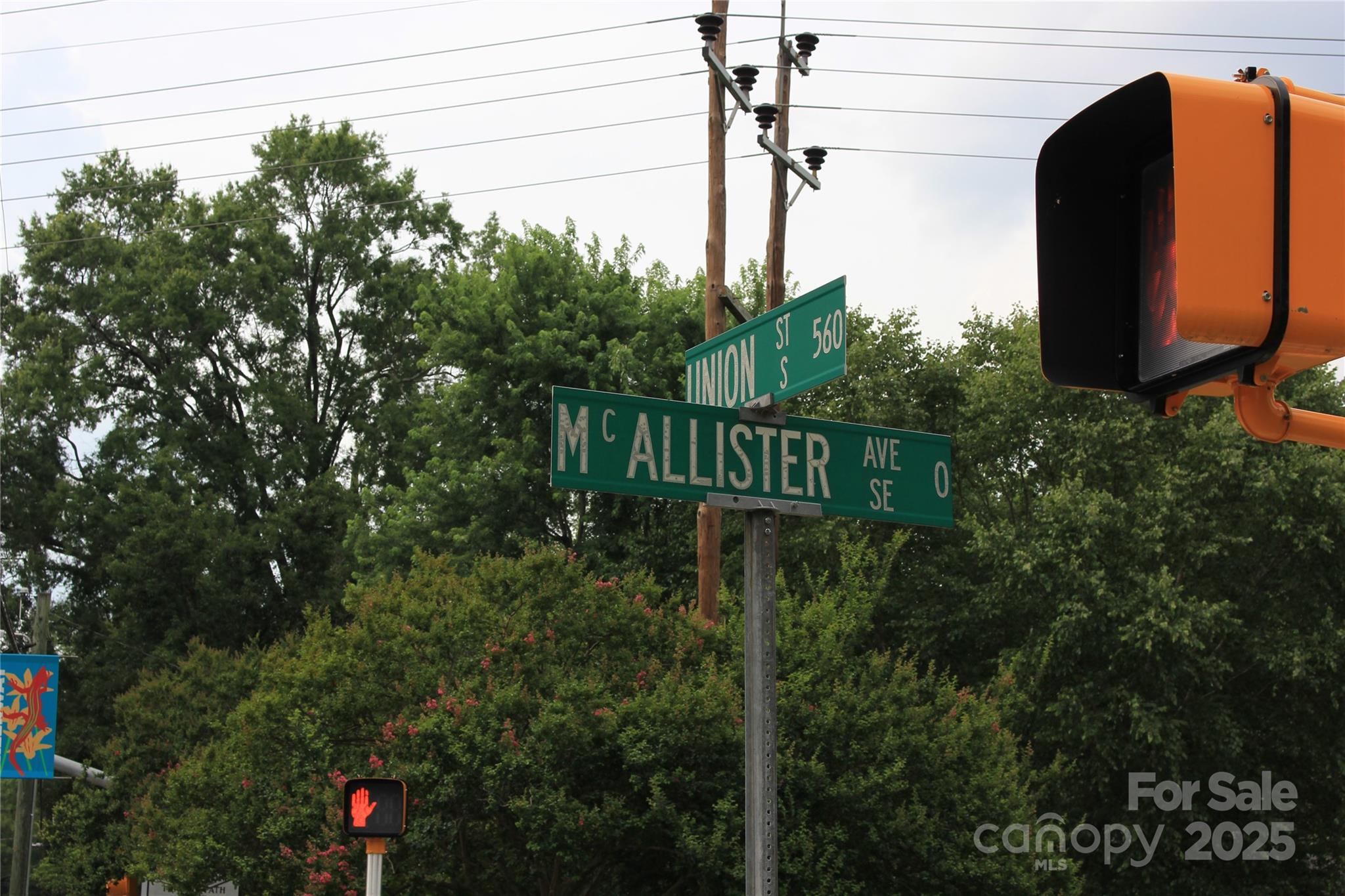 569 Union Street Property Photo 14