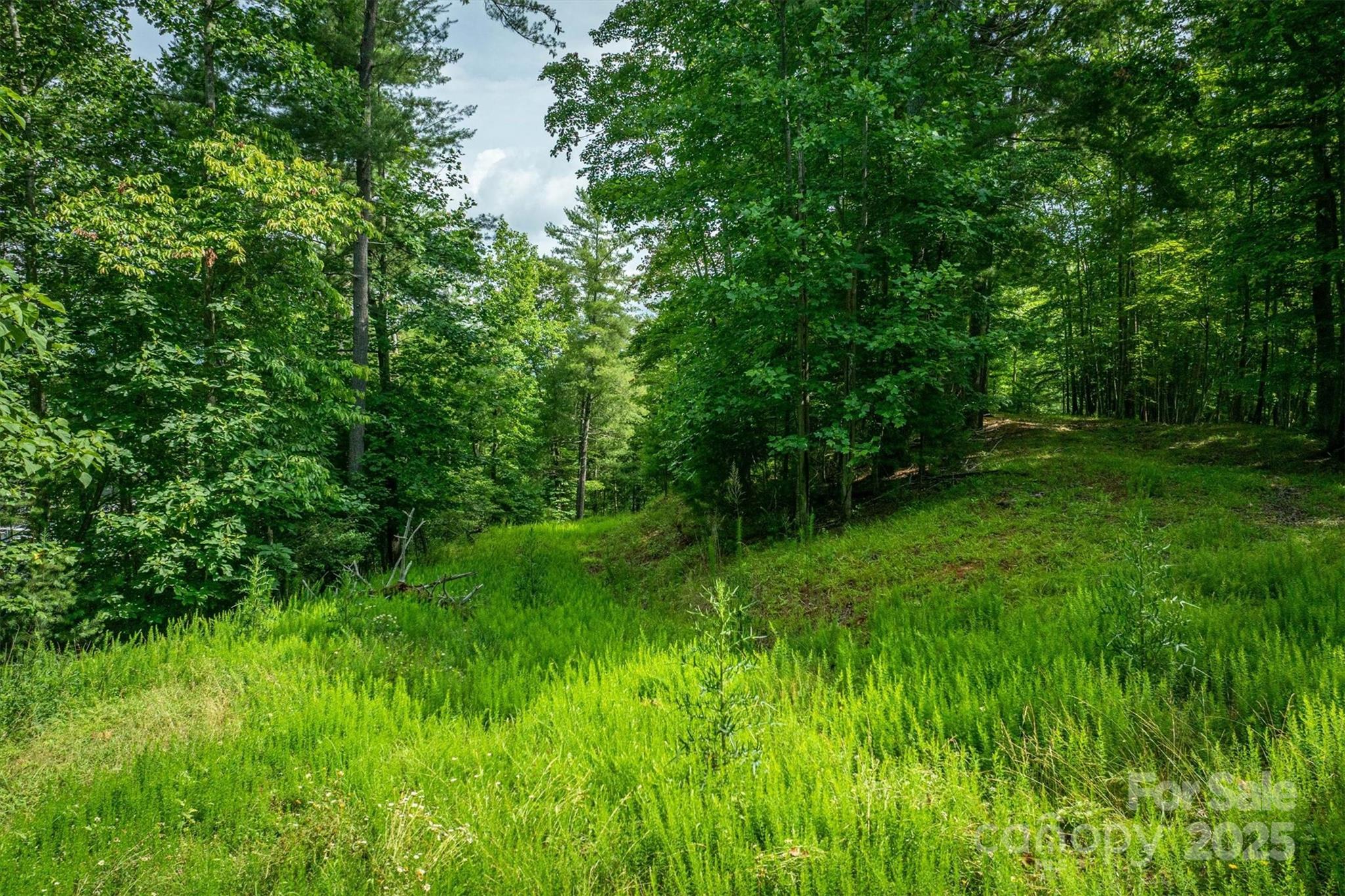 810 Marina Drive 1 Property Photo 17