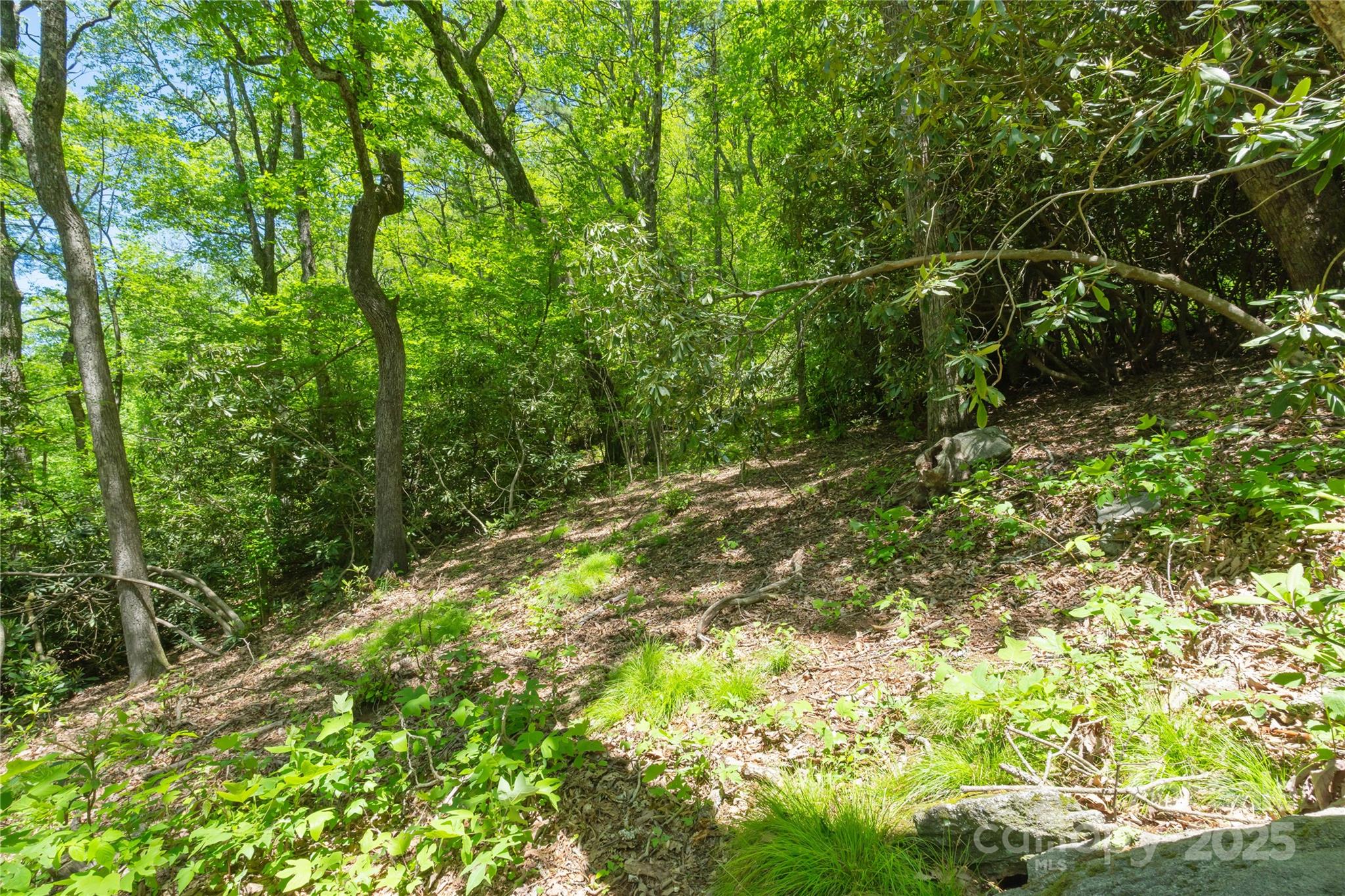 Tbd Upper Lake Road 69 Property Photo 3