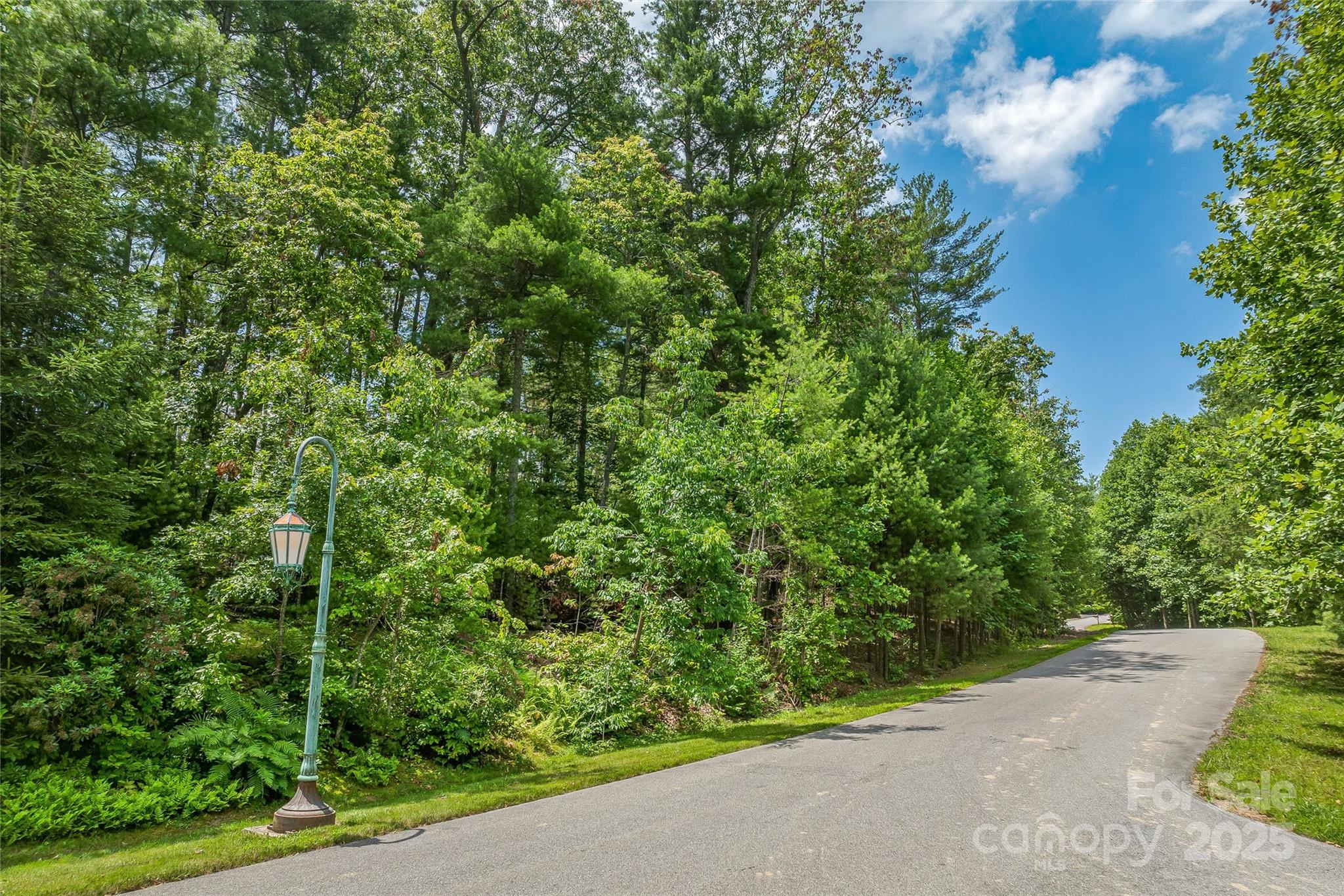 99999 Cedar Hill Drive 28 Property Photo 1