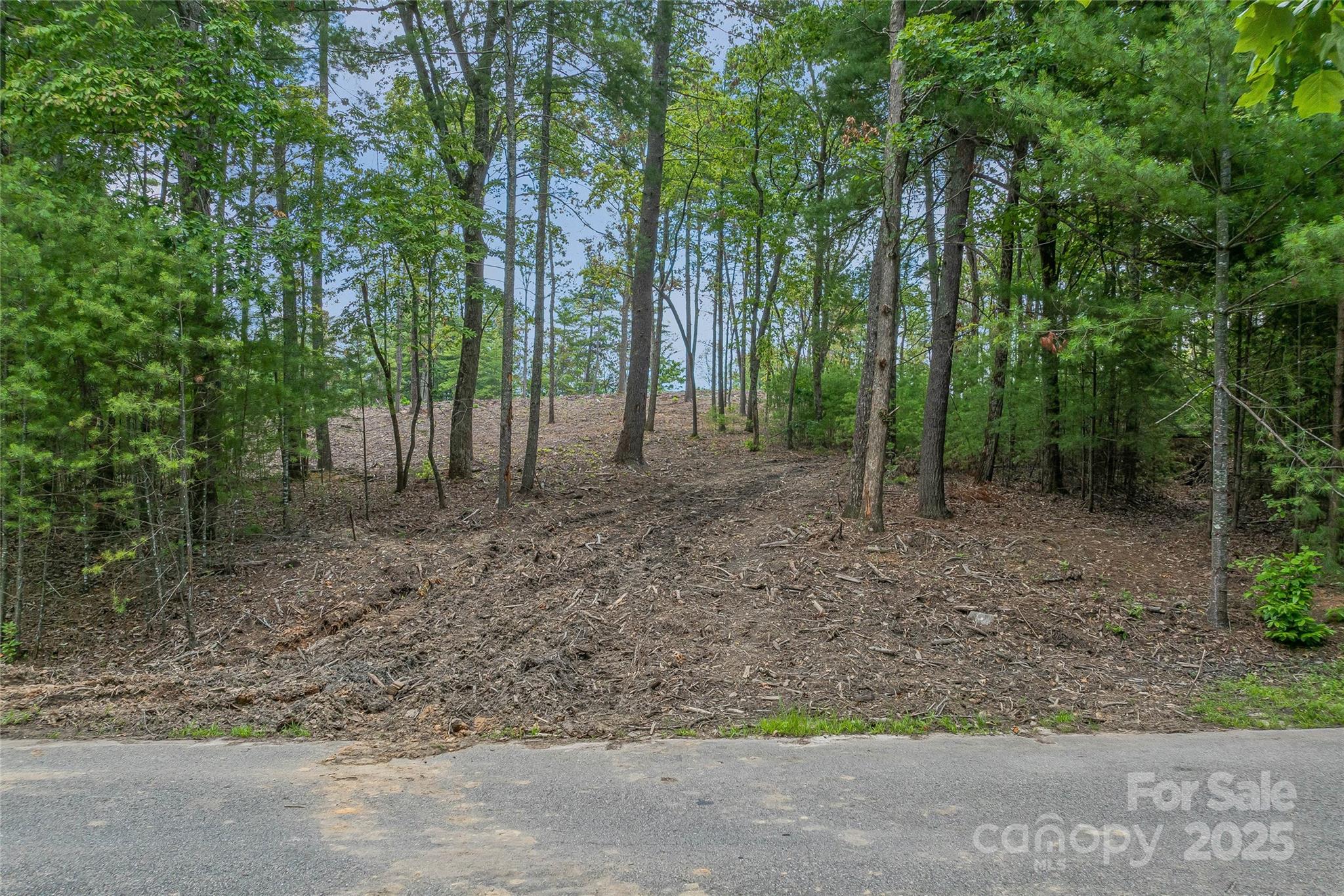 99999 Cedar Hill Drive 28 Property Photo 9