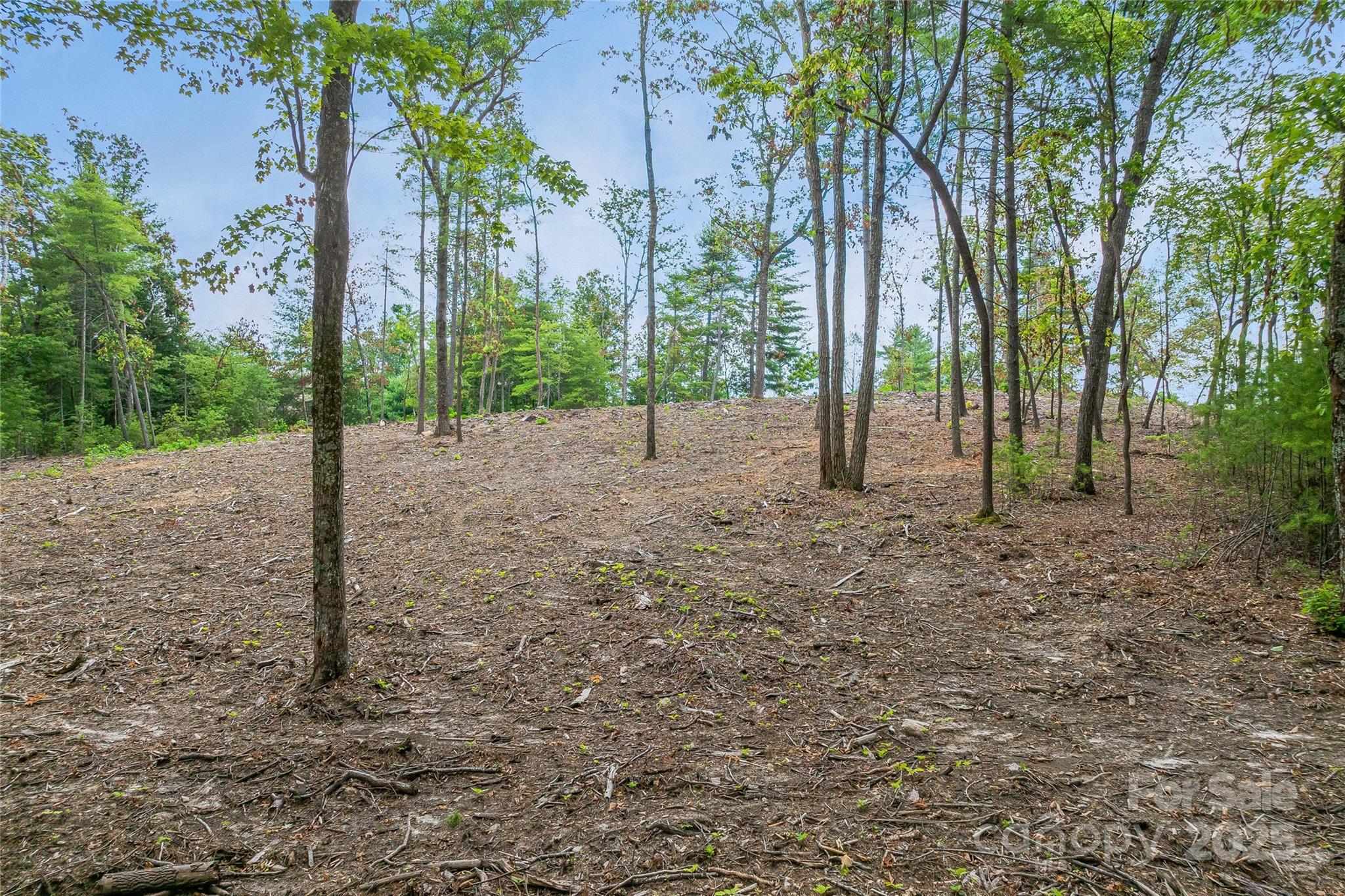 99999 Cedar Hill Drive 28 Property Photo 10