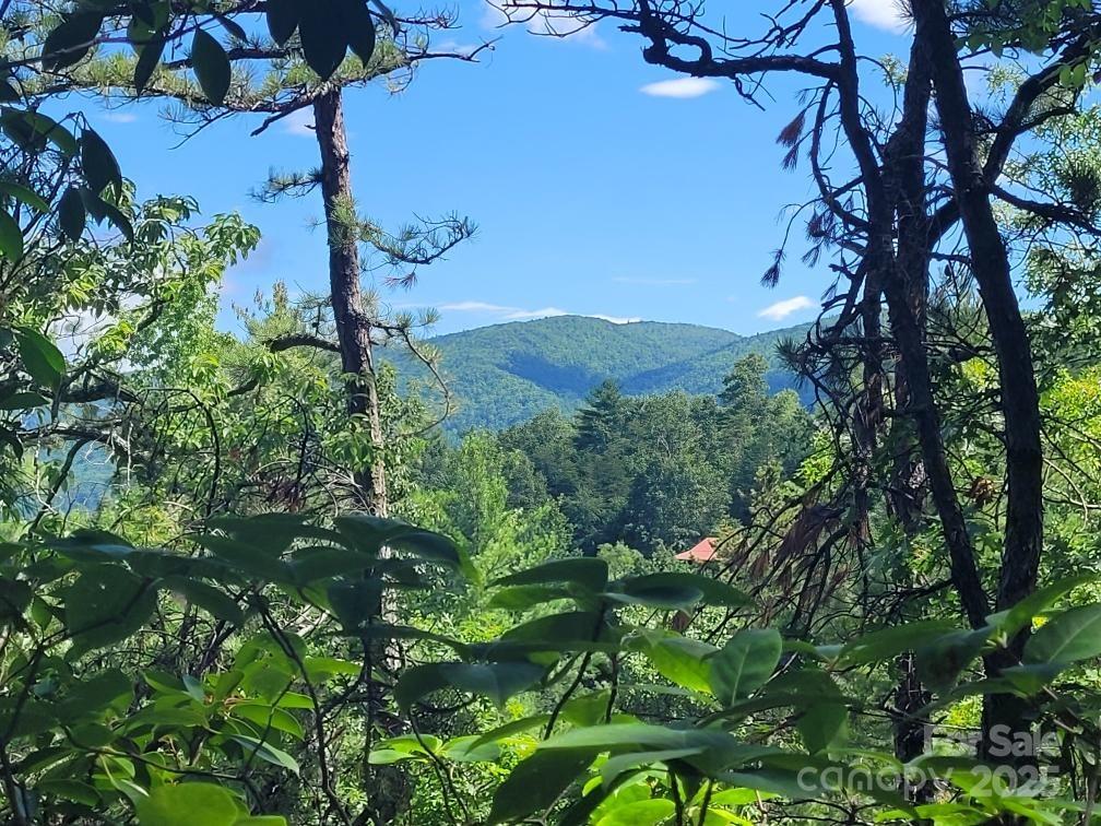 Lot 72 Maureen Parkway Property Photo 2