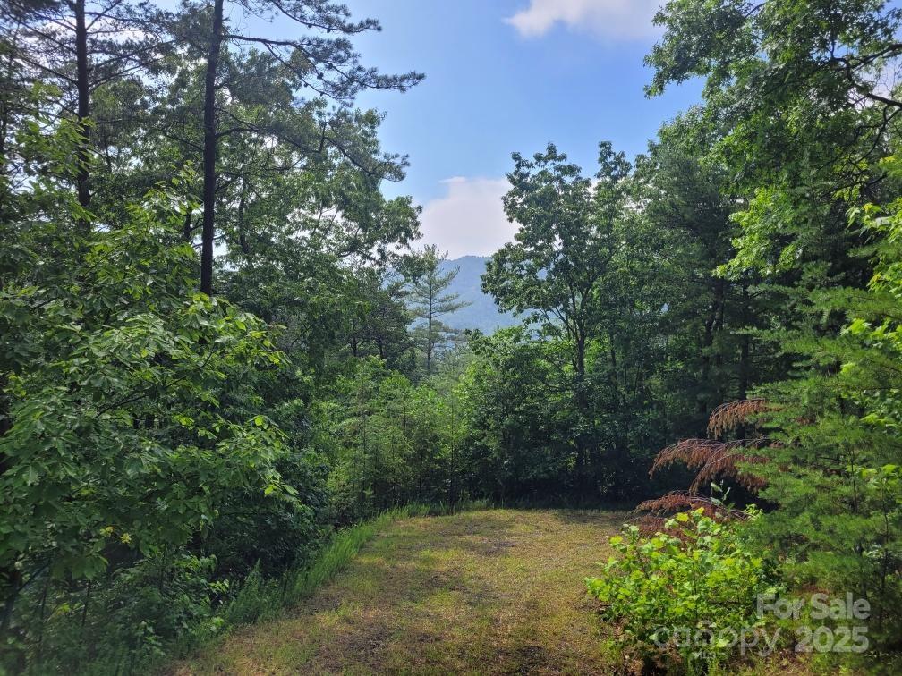 Lot 72 Maureen Parkway Property Photo 4