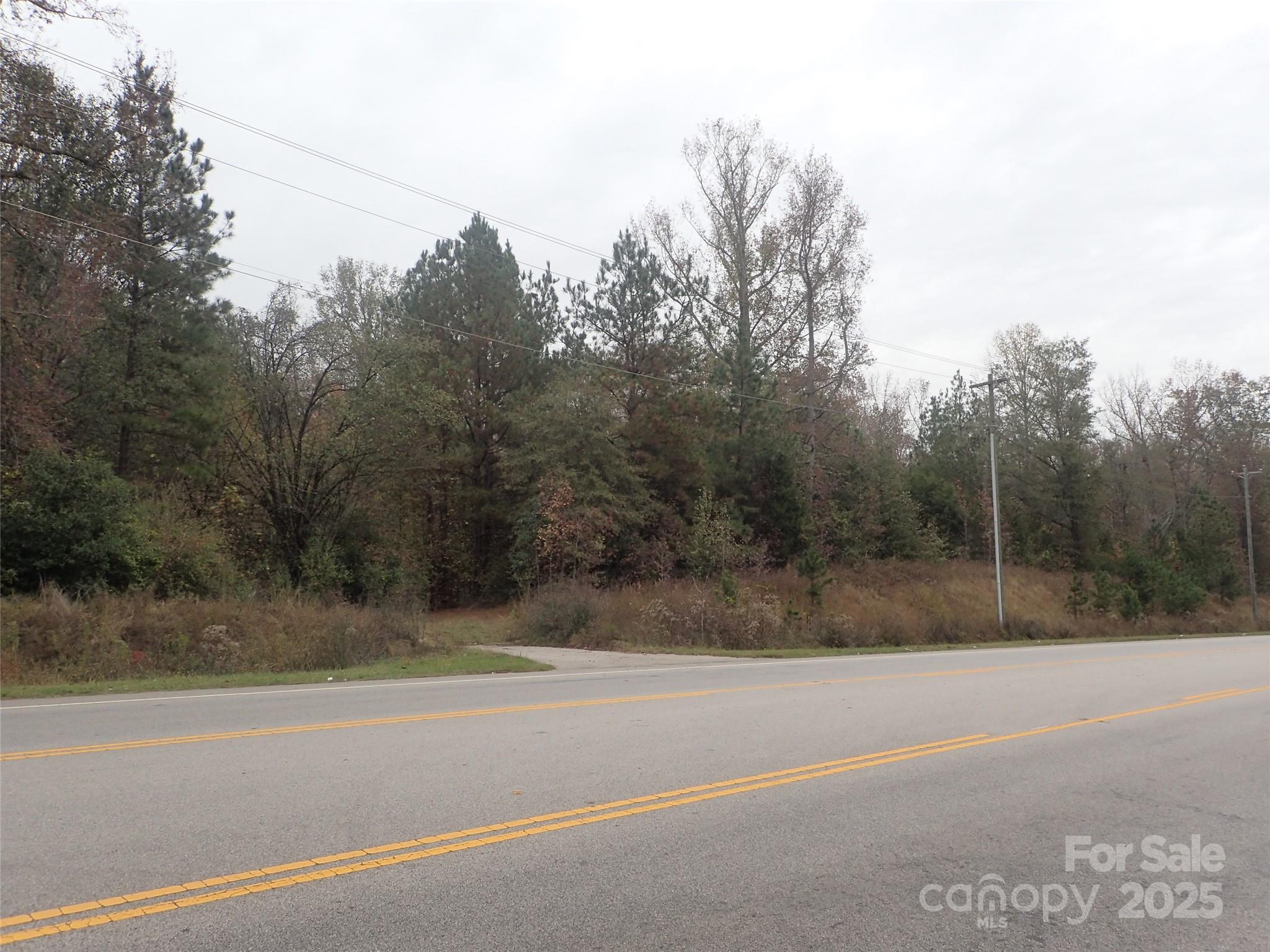 1231 Mcconnells Highway Property Photo 4