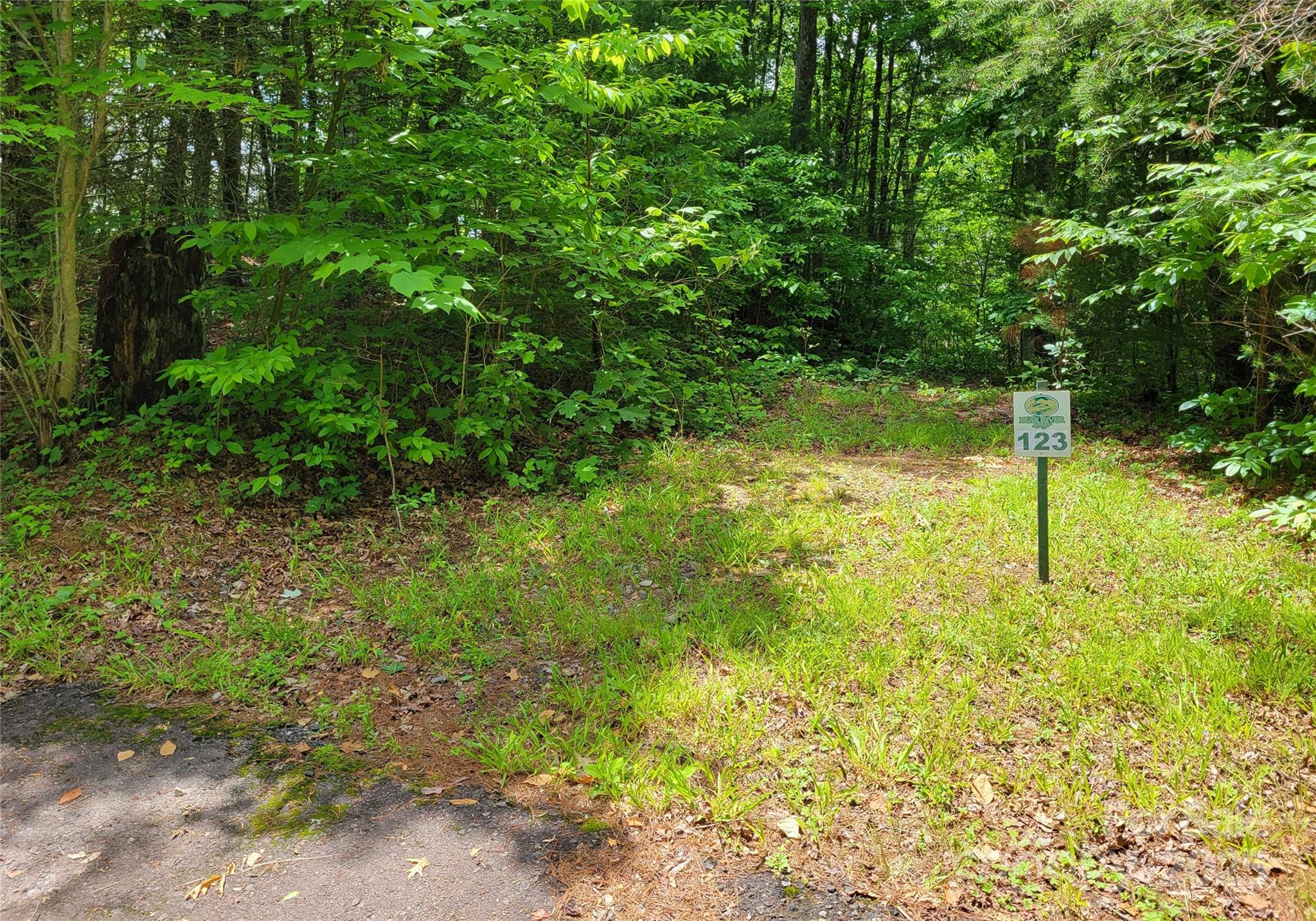 Tbd Bear River Lodge Road 123 Property Photo 1