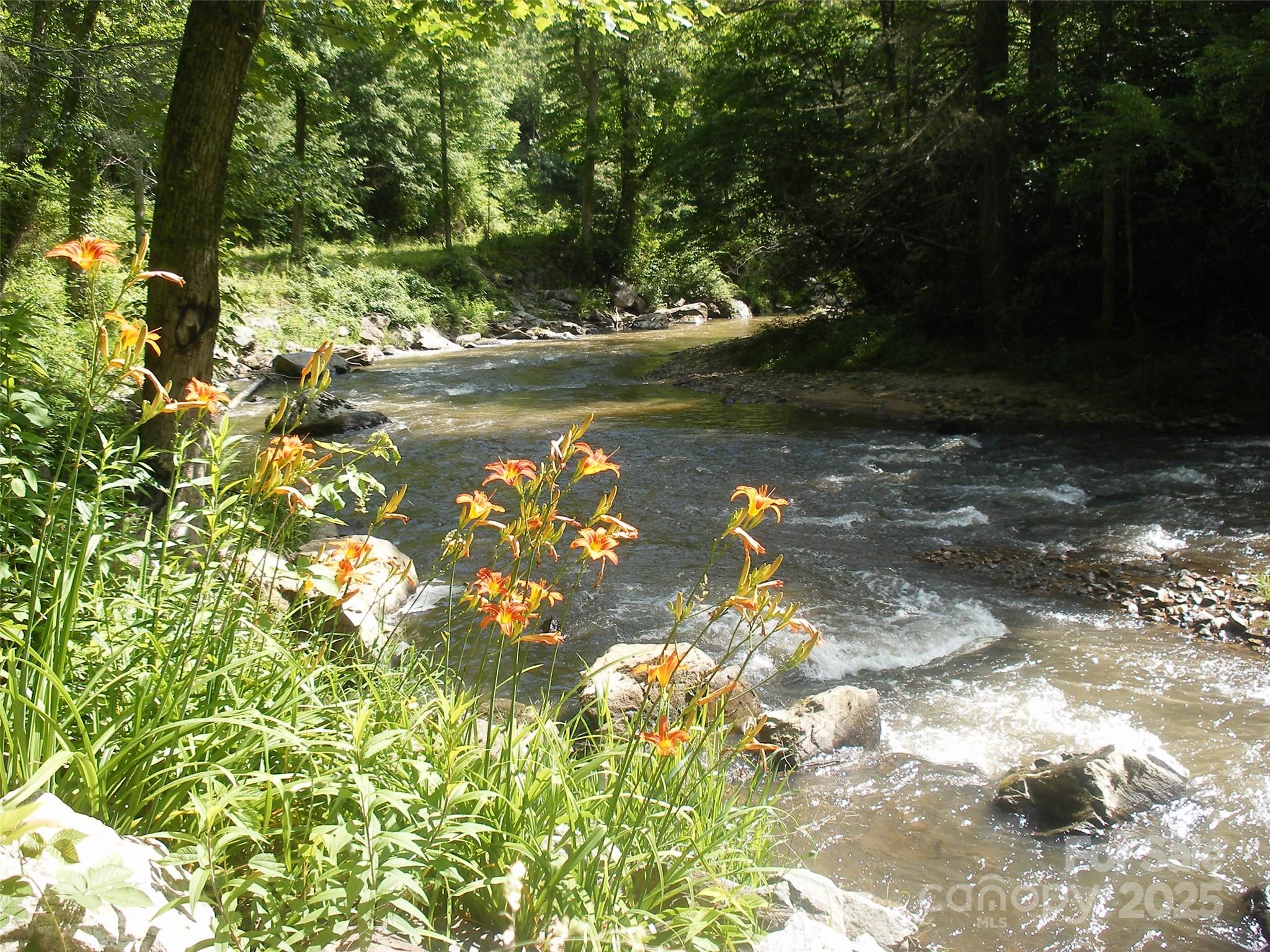 Tbd Bear River Lodge Road 123 Property Photo 3