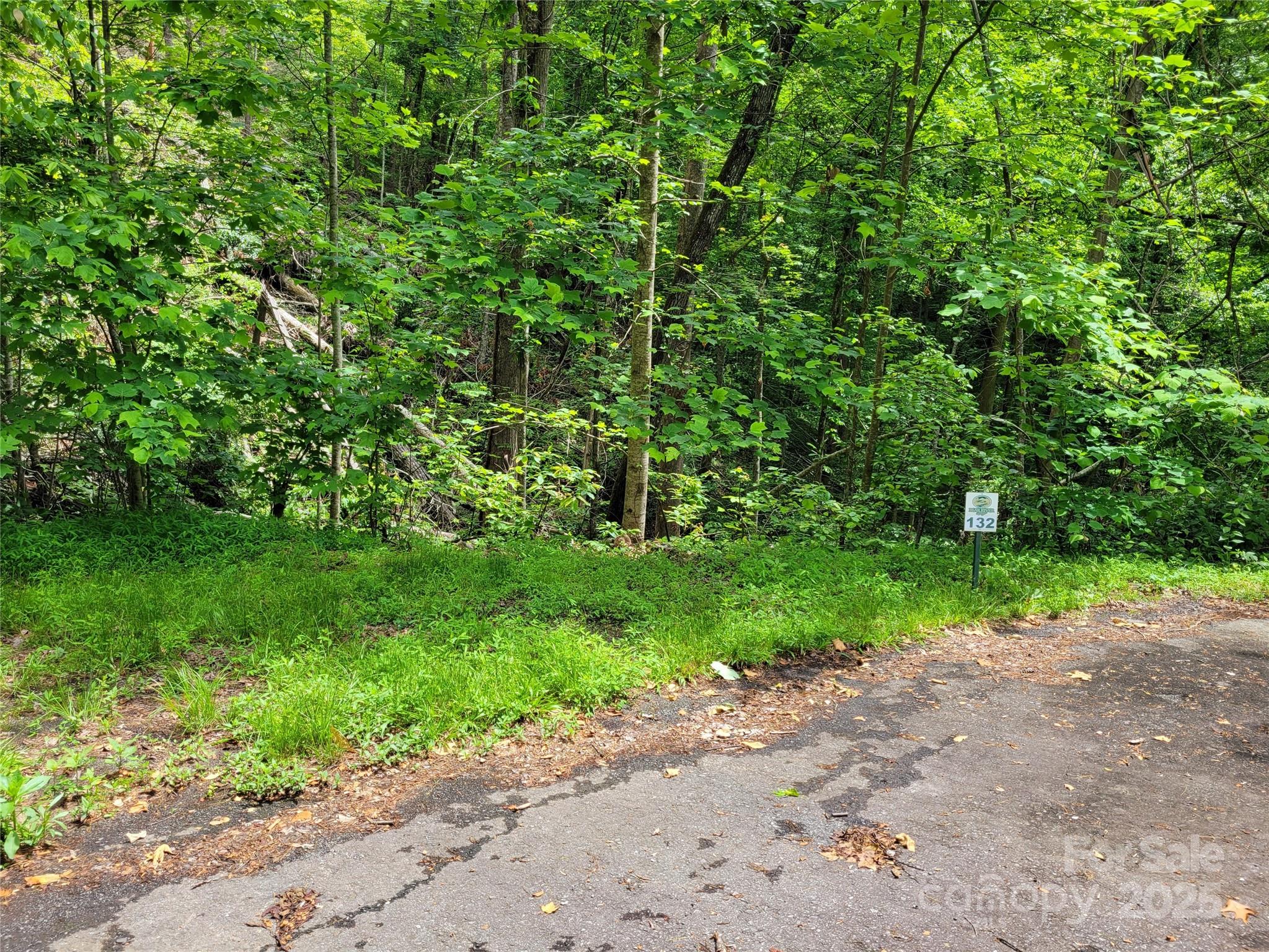 Tbd Bear River Lodge Road 123 Property Photo 4