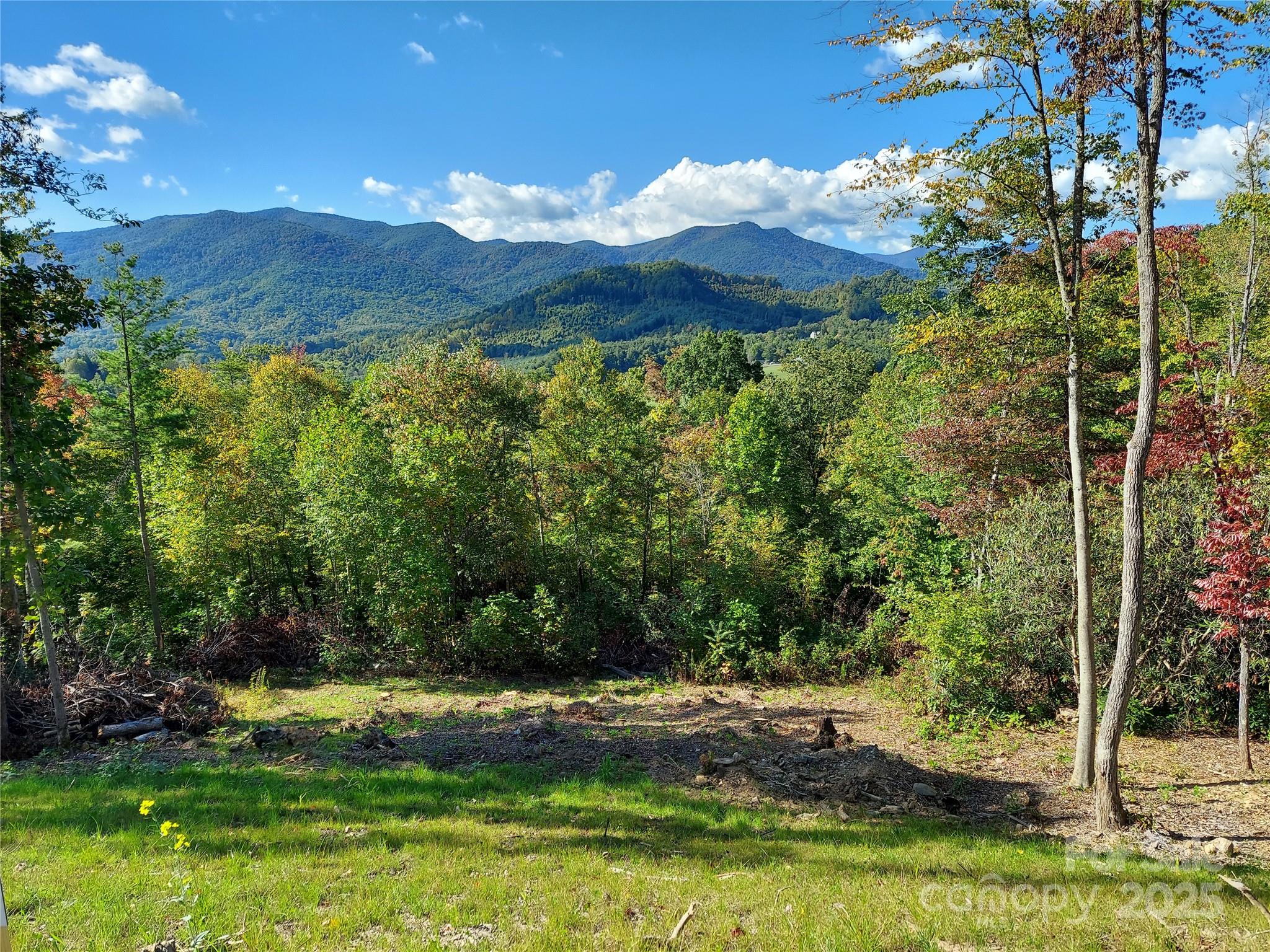 Lot 19 Summit View Parkway Property Photo 1
