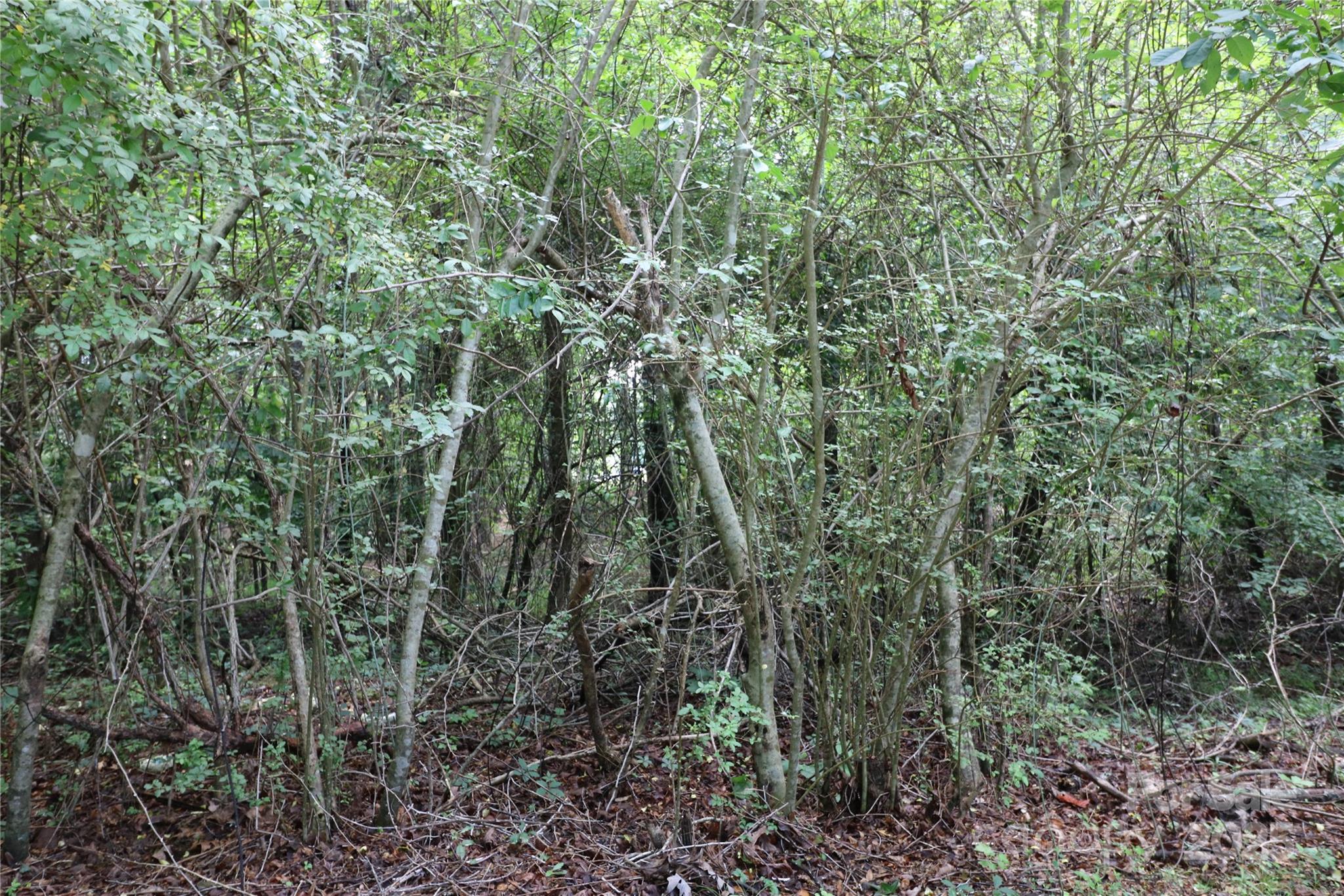 0 Whispering Pines Circle Property Photo 1