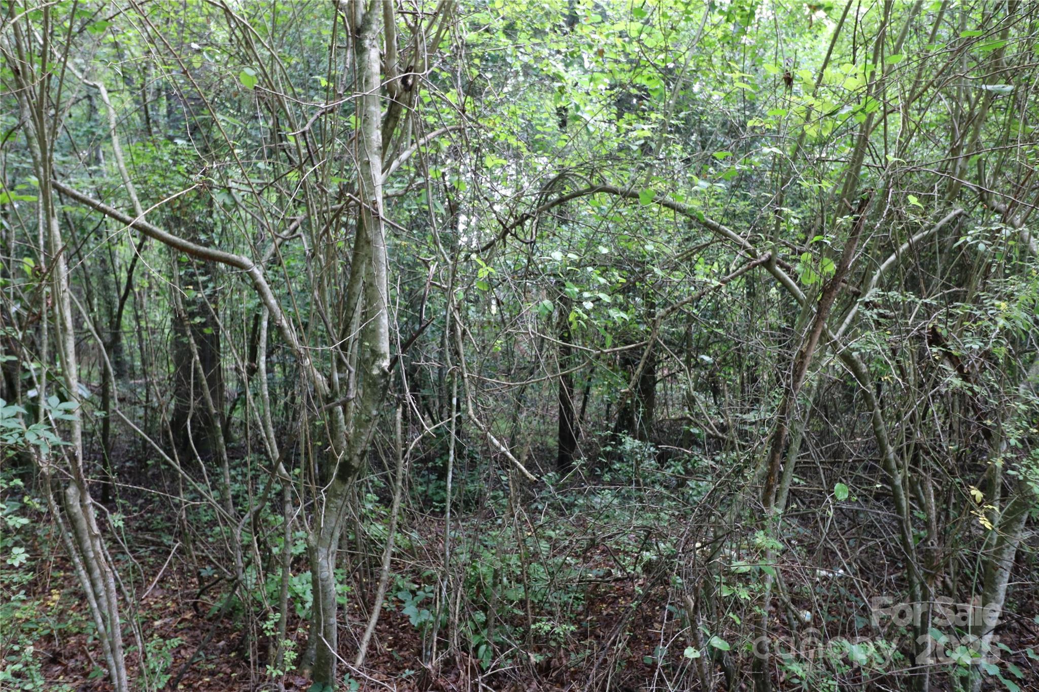 0 Whispering Pines Circle Property Photo 2