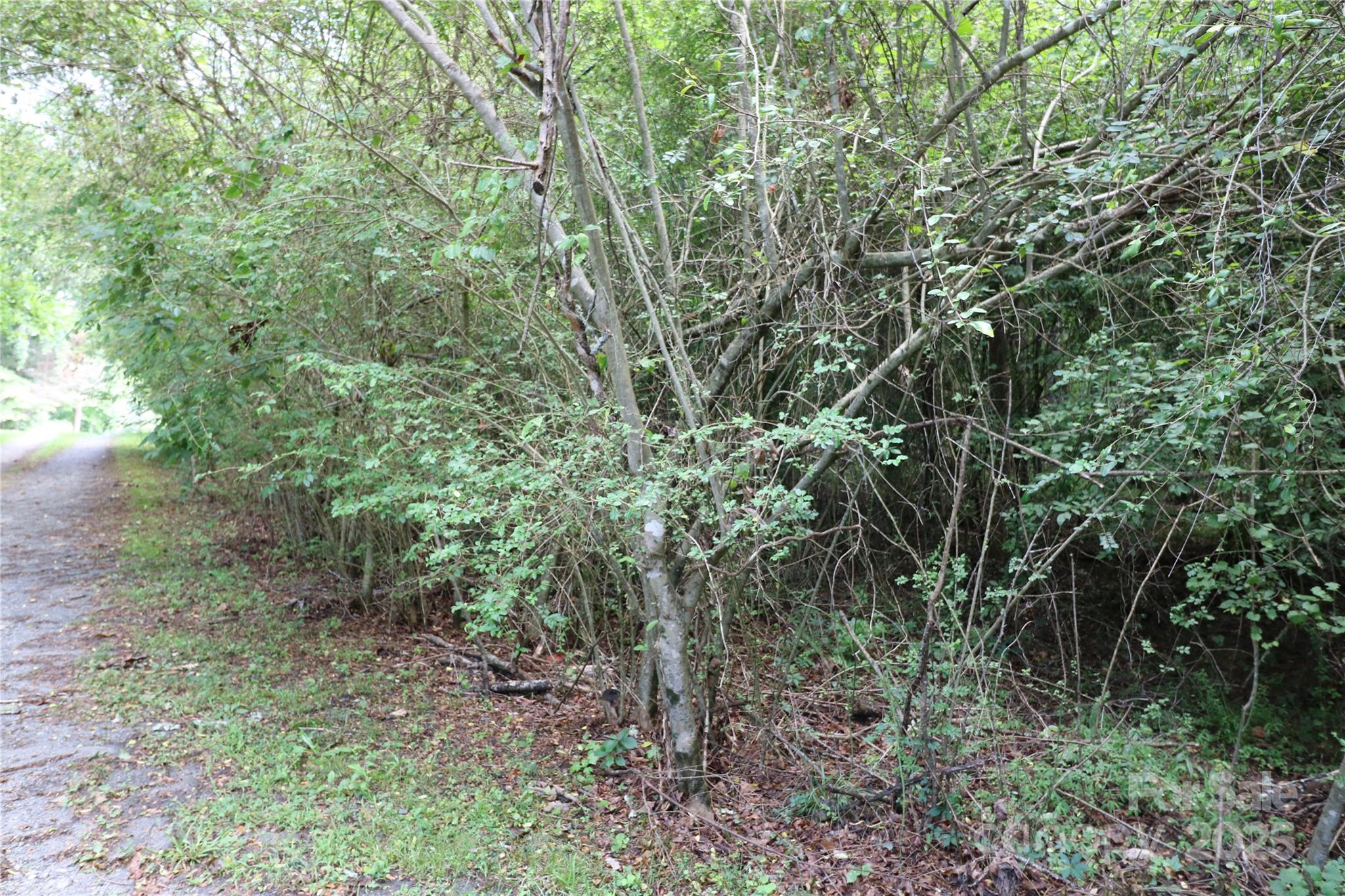 0 Whispering Pines Circle Property Photo 3