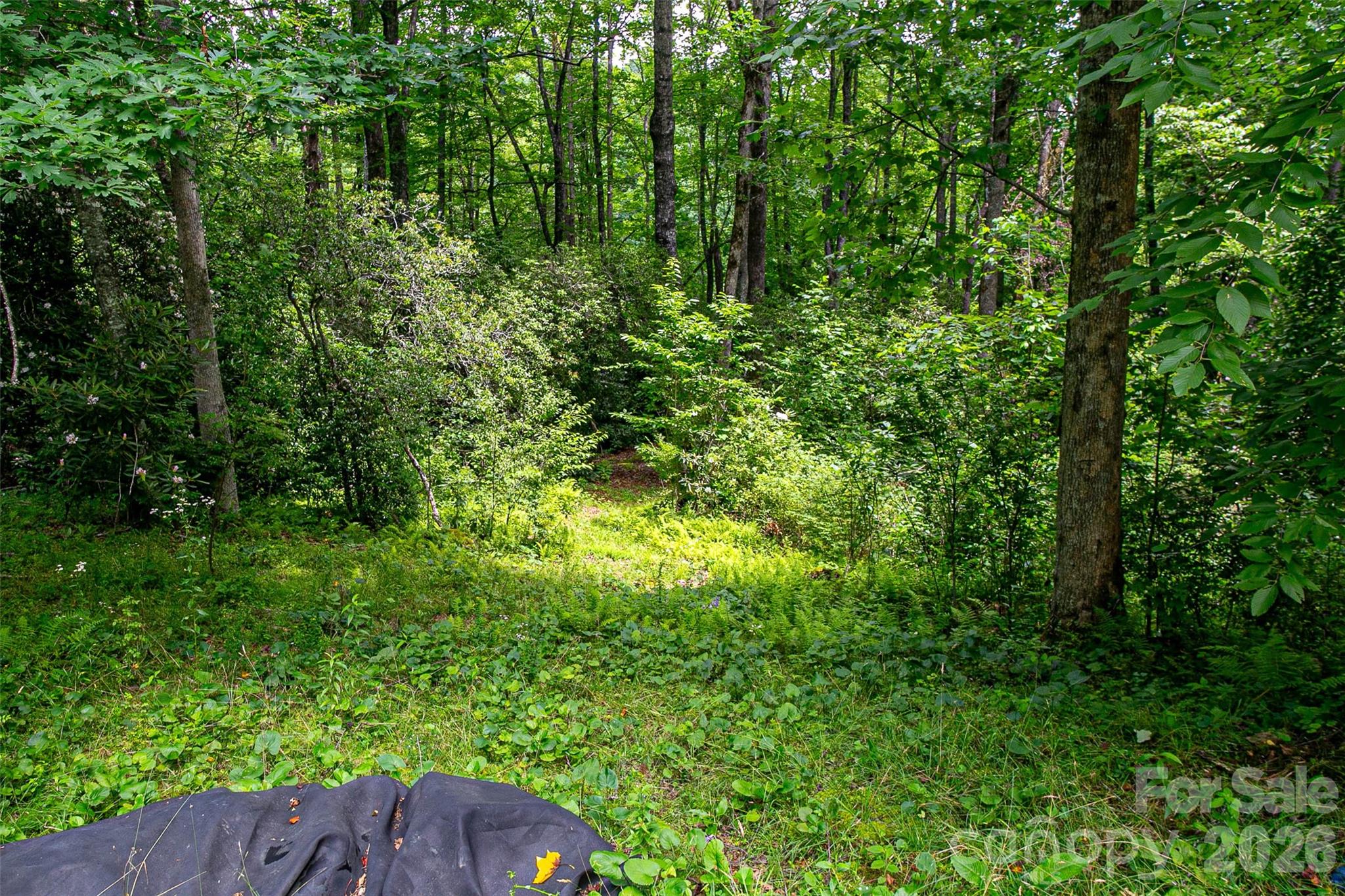 164 Horseplay Lane Property Photo 3