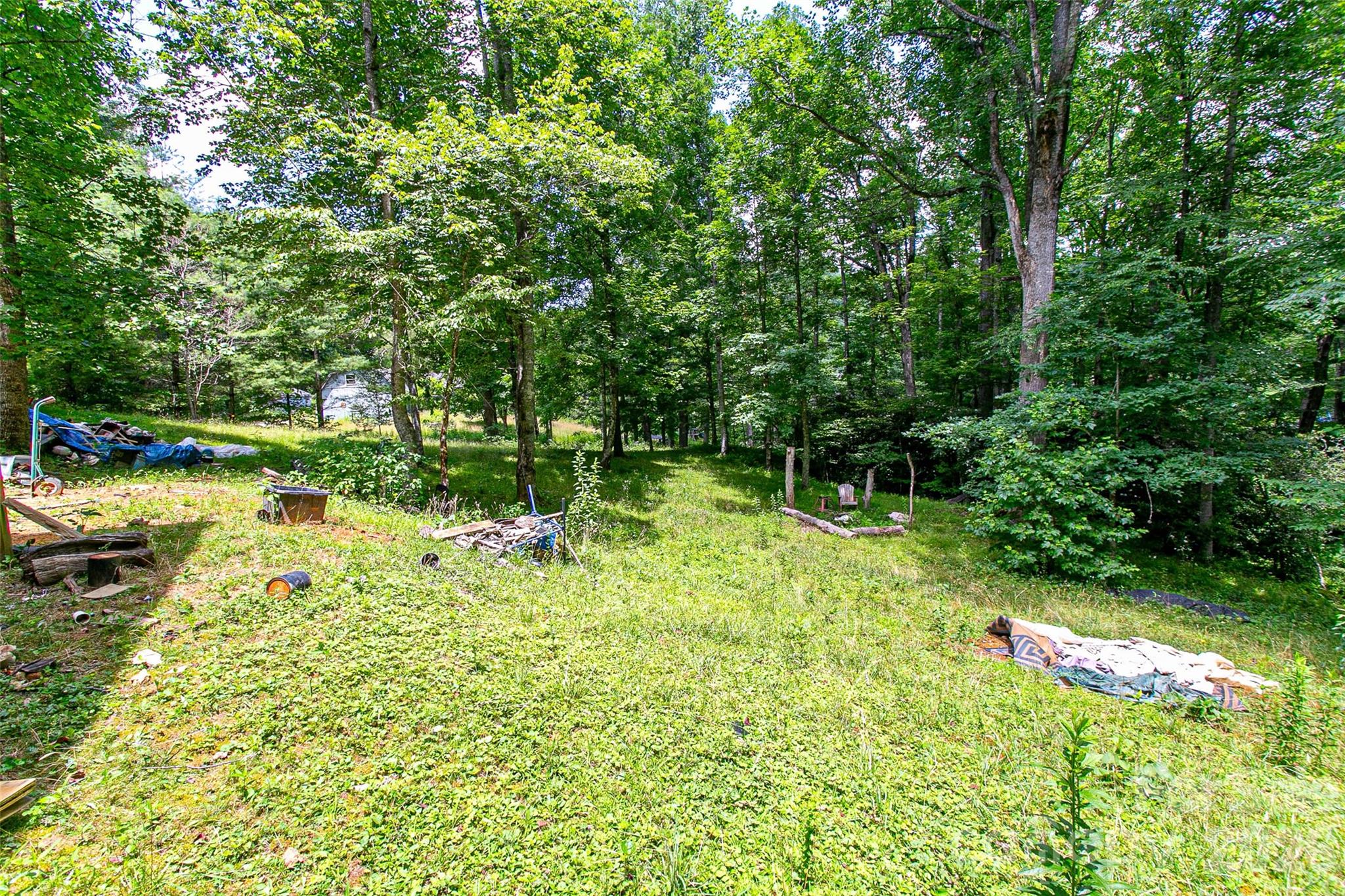 164 Horseplay Lane Property Photo 4