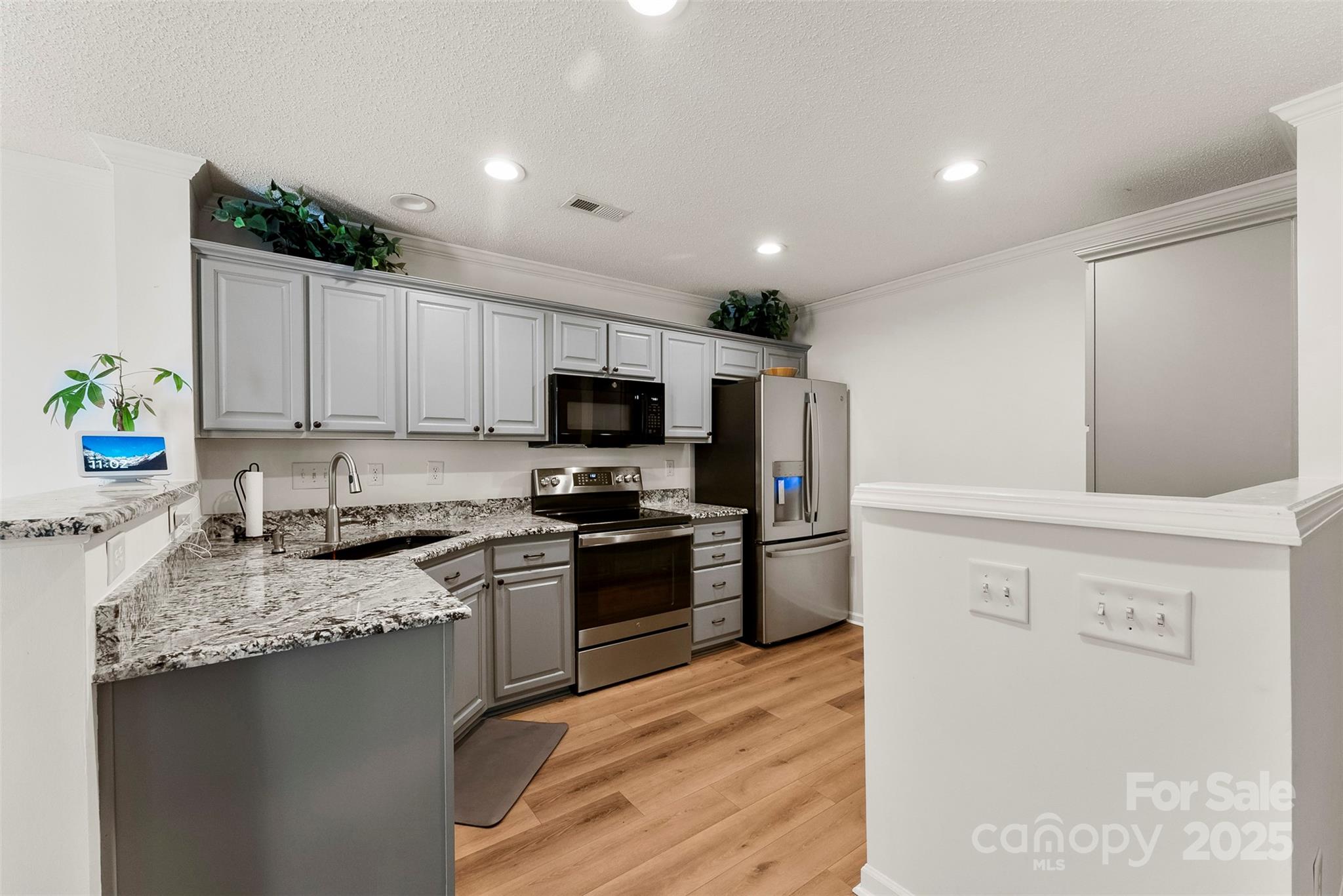 9977 Reindeer Way Lane Property Photo 9