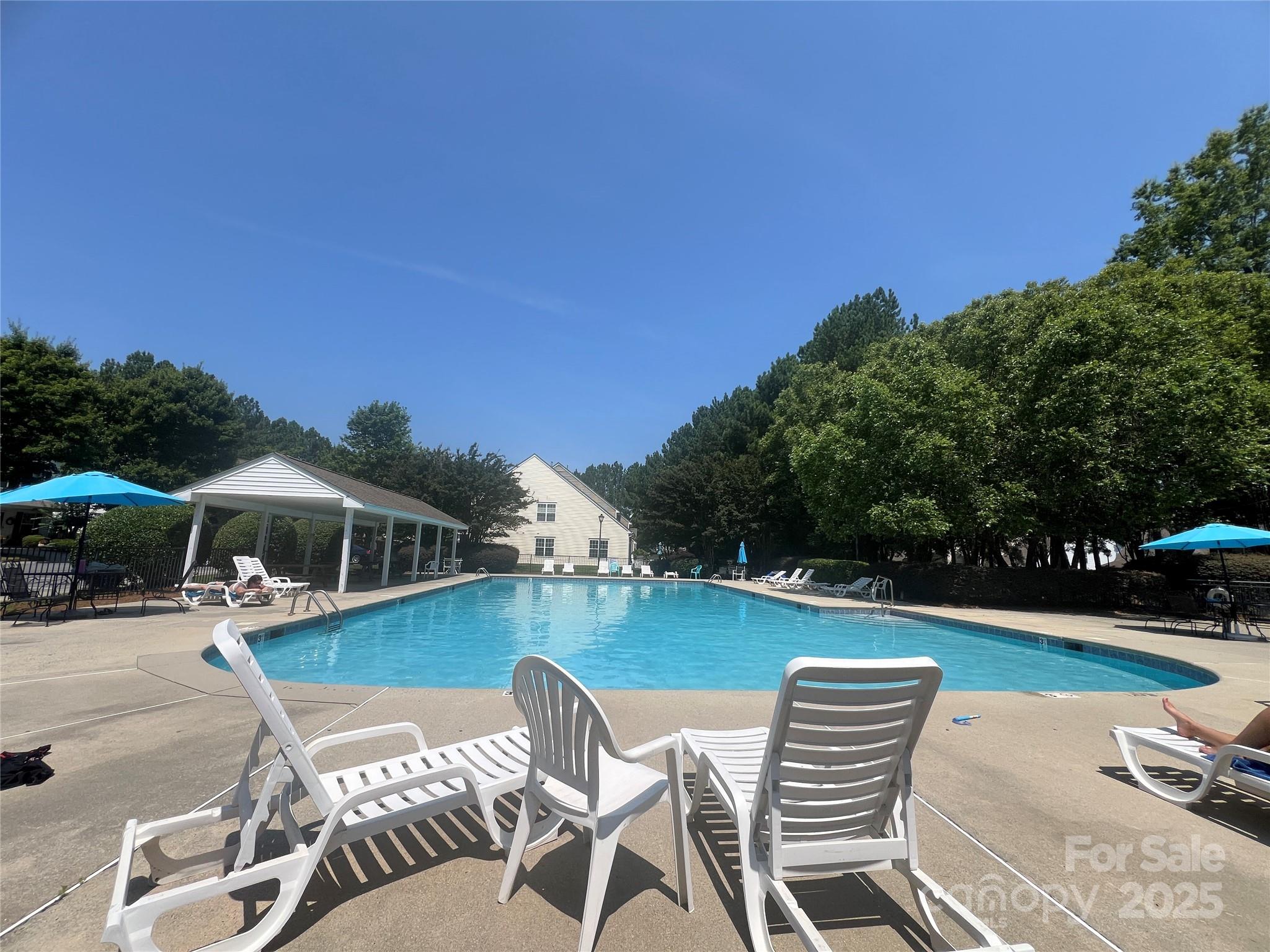 9977 Reindeer Way Lane Property Photo 29