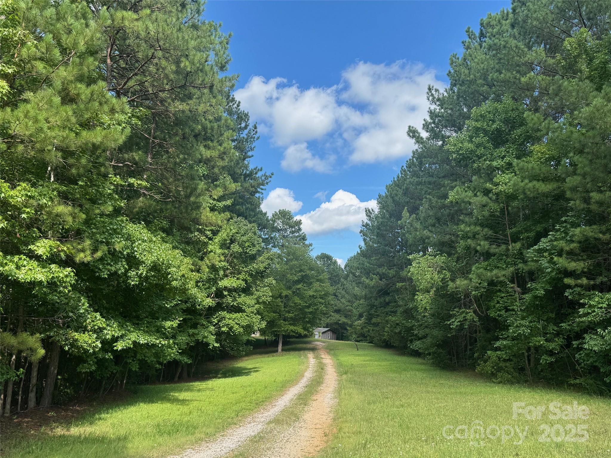 316 C E Stewart Road Property Photo 1