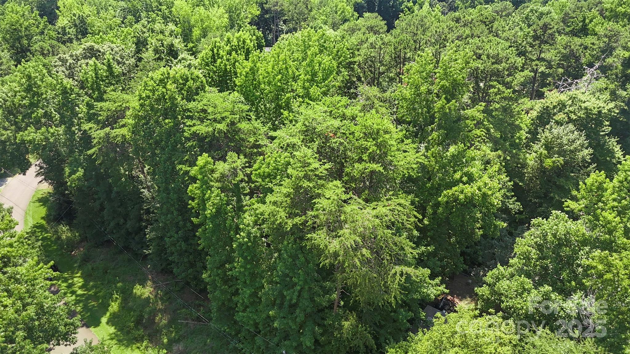 14133 Woodhurst Lane Property Photo 5