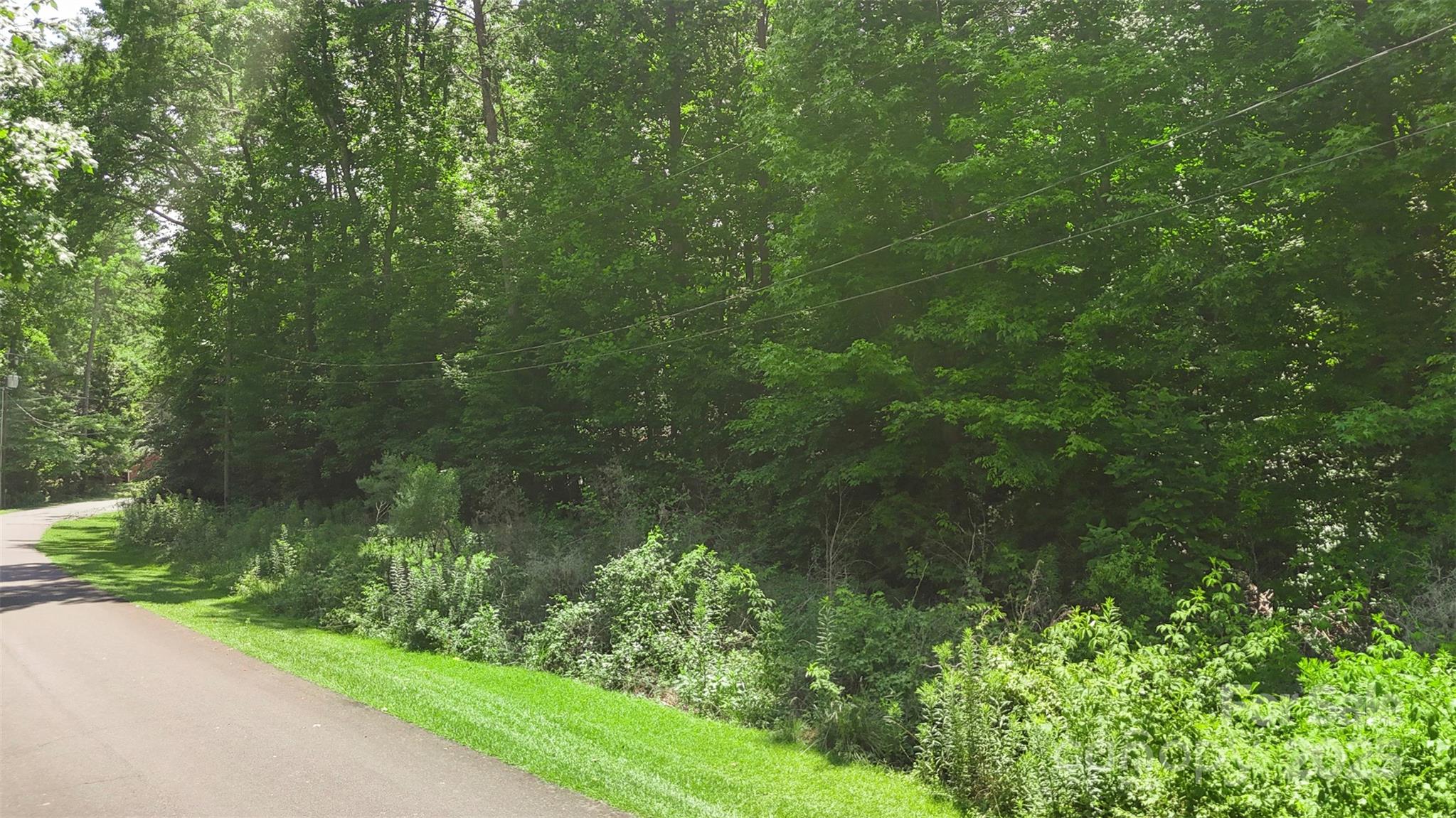 14133 Woodhurst Lane Property Photo 6