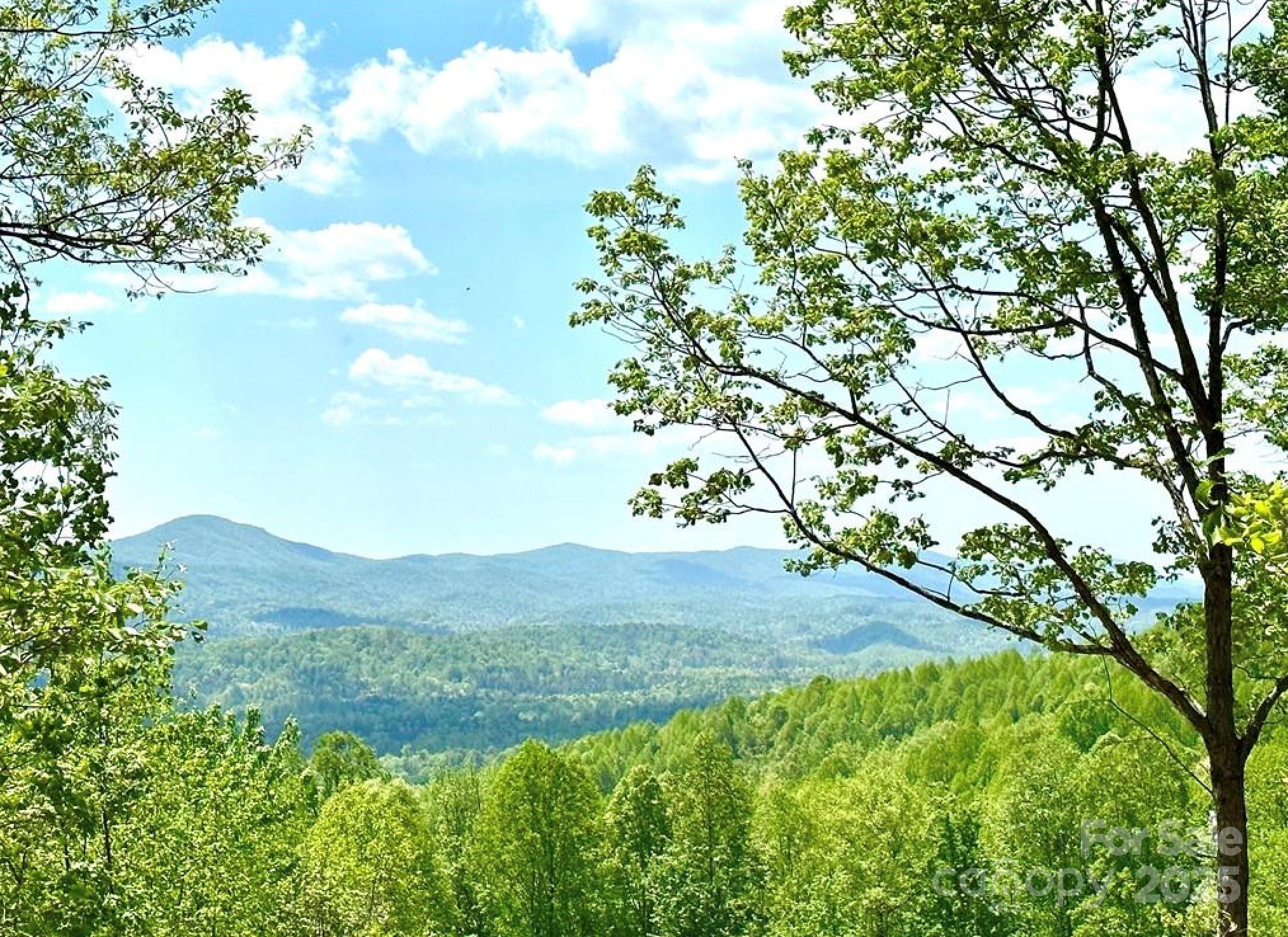 Lot 79 Ridge Run Road 79 Property Photo 1