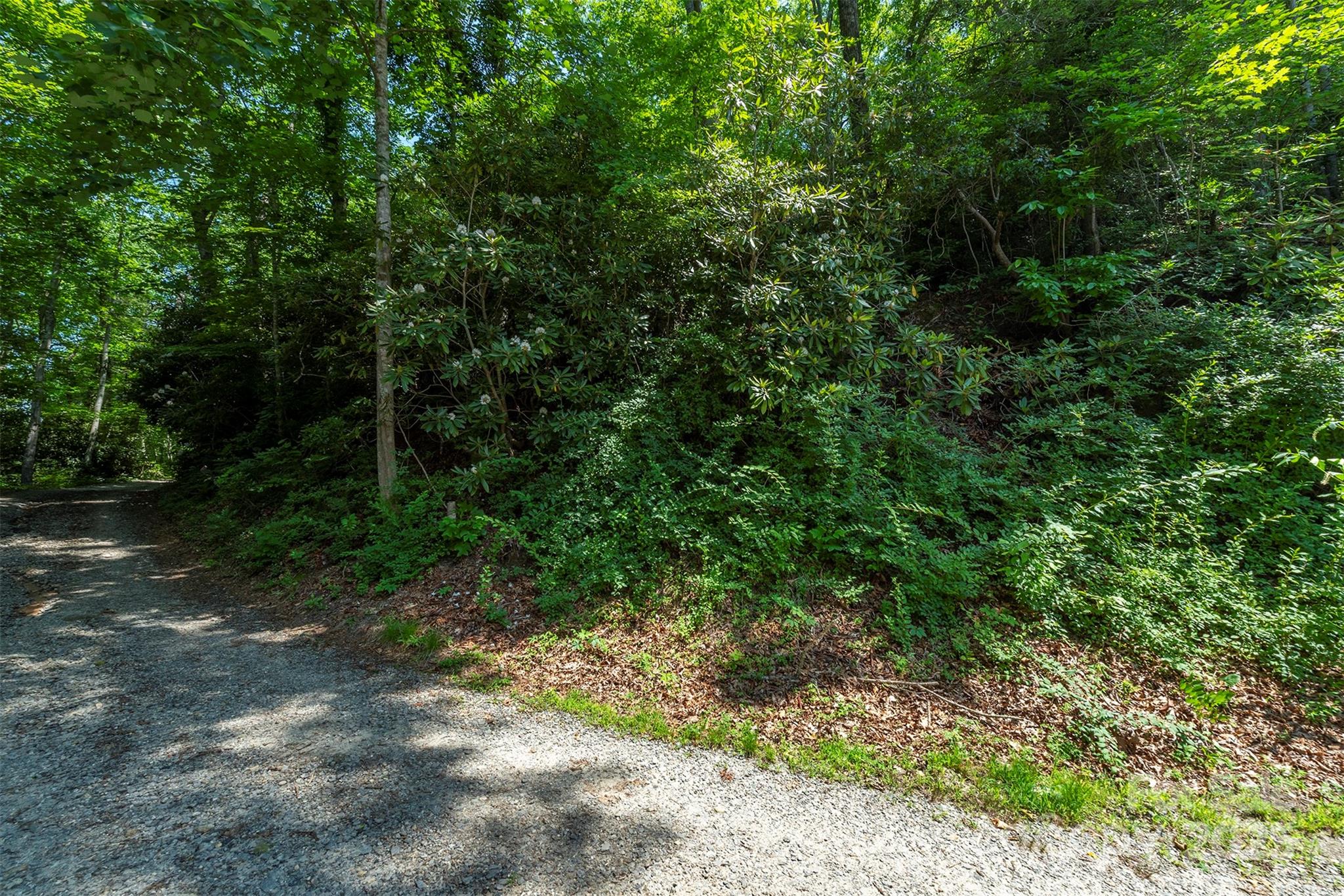5 Roy Lane Property Photo 2